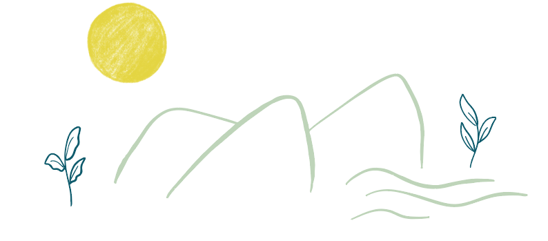 C&C_HOMEPAGE_ILLUSTRATION.png