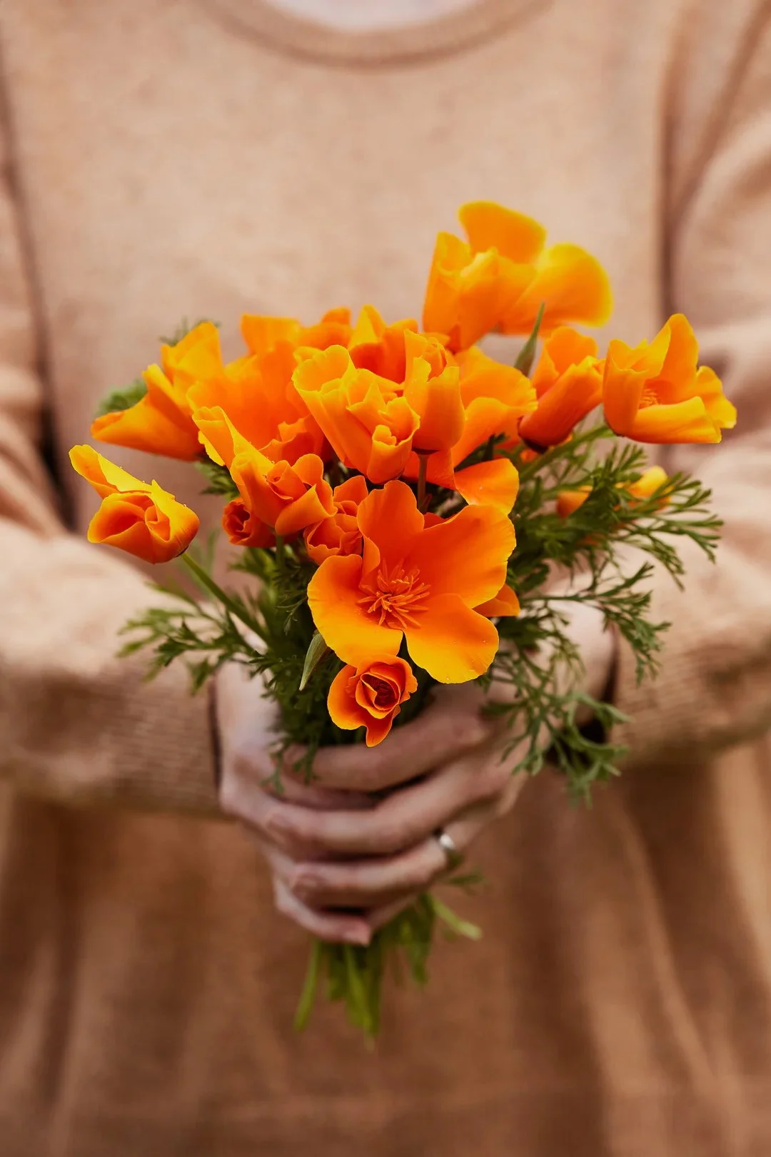 Bouquet of Poppies.jpeg
