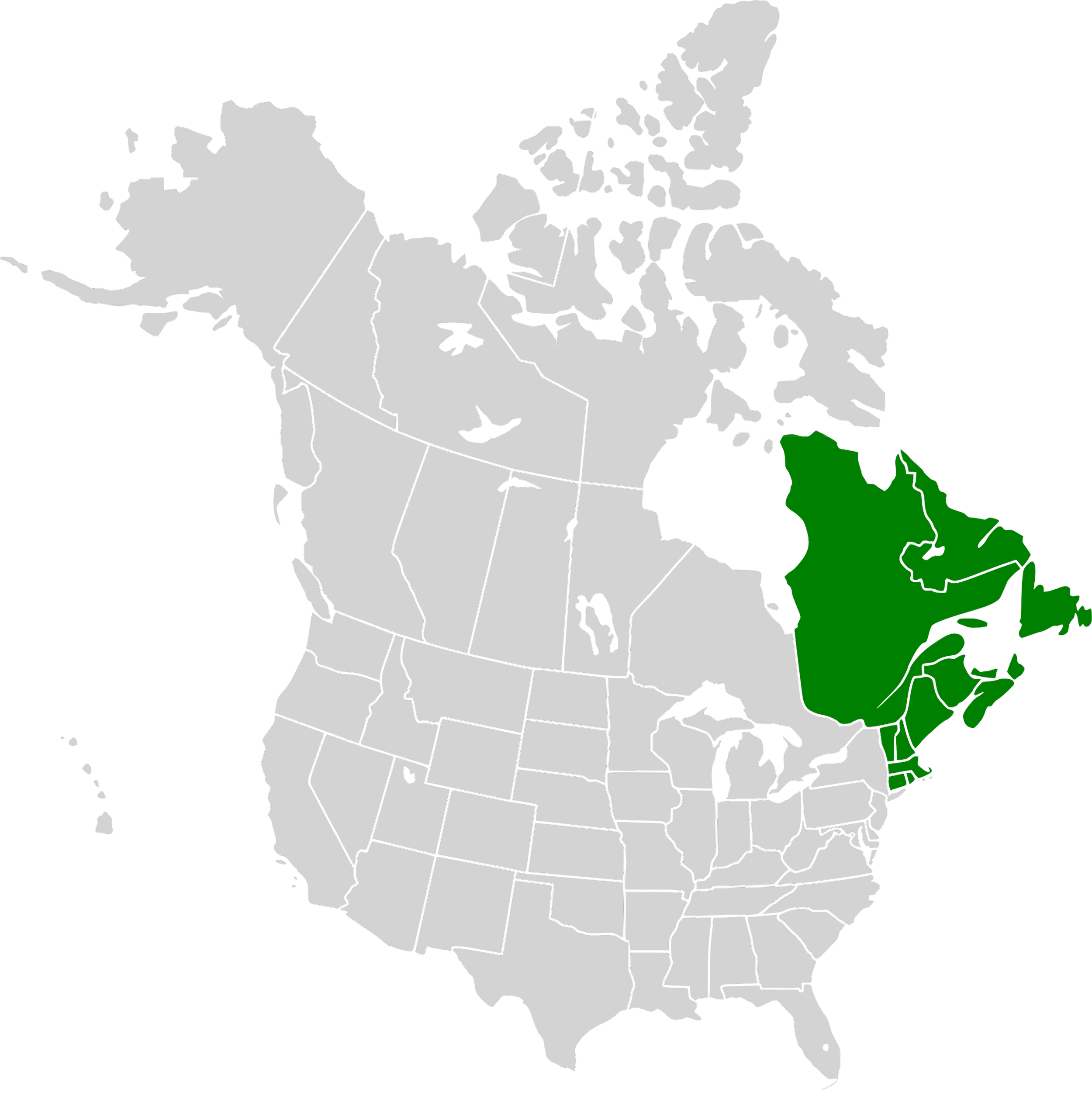 New England eyes Canada for energy as US offshore wind flounders