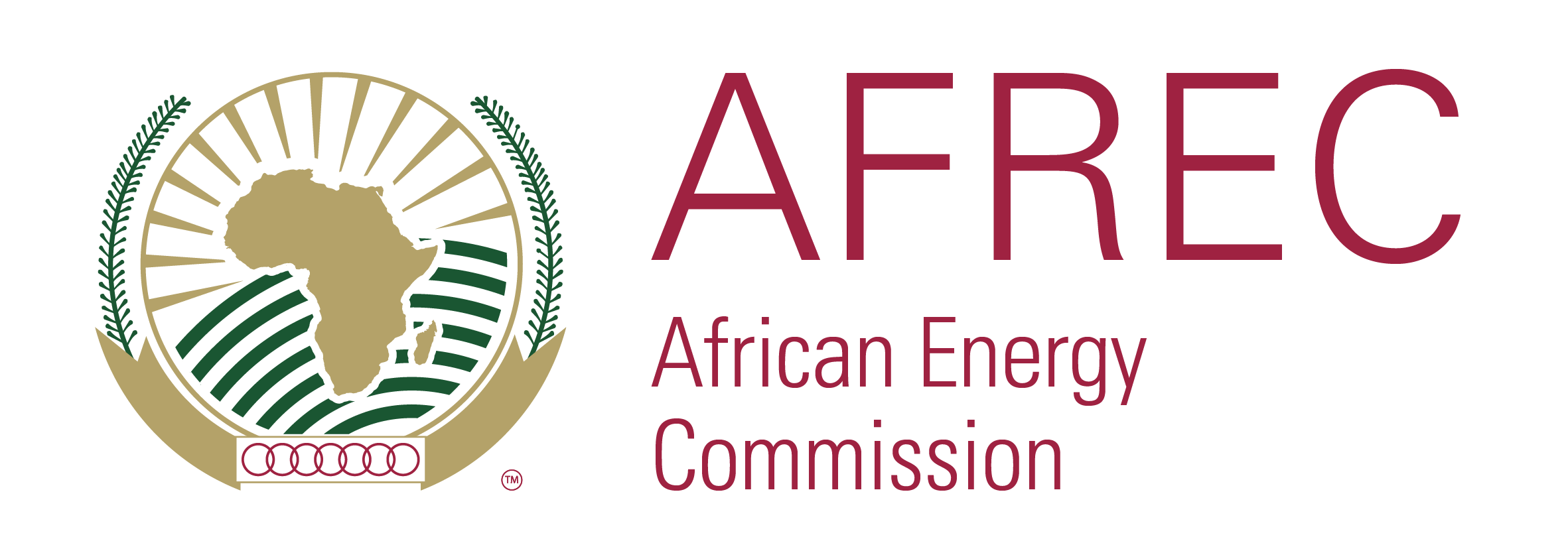 African Energy Commission unveils continental plan to improve national energy data systems