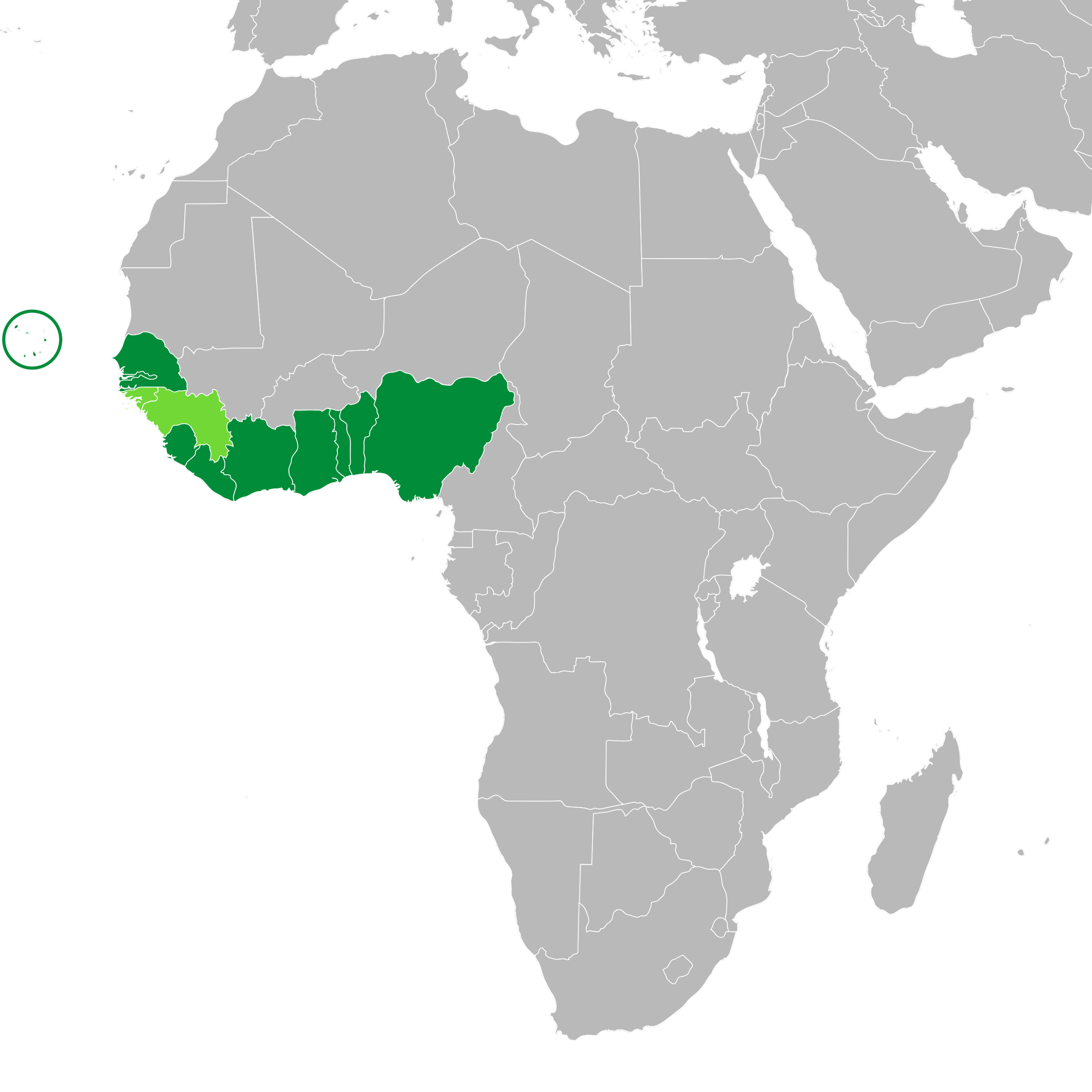 ECOWAS Urges Grid Interconnection and Regulatory Alignment for Energy Transition