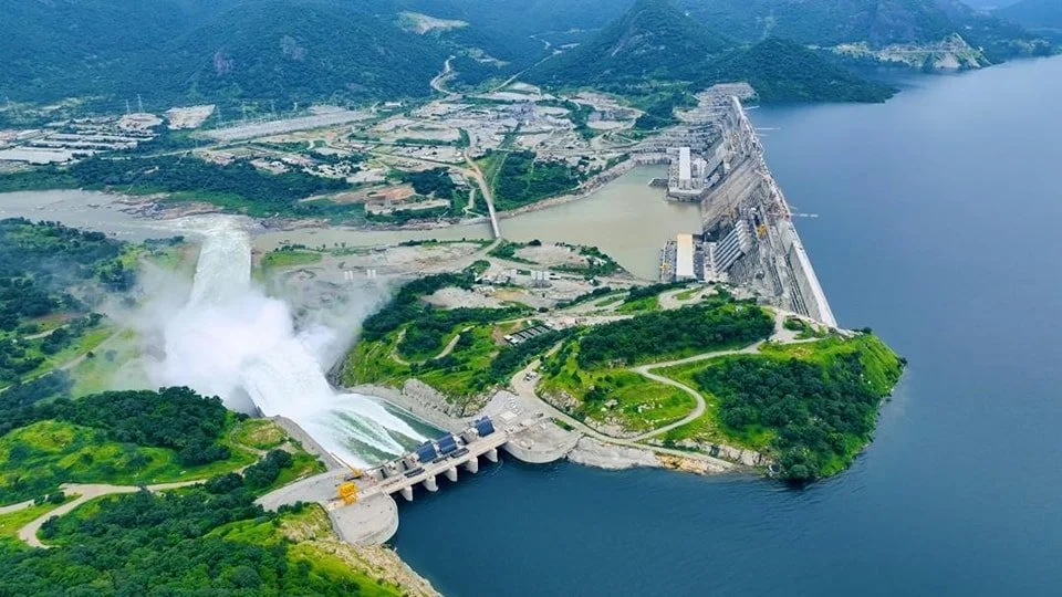 In the Amazon, a hydroelectric dam created ‘green islands,’ but 26 years later, most of the animals had disappeared, including mammals, large birds, and turtles