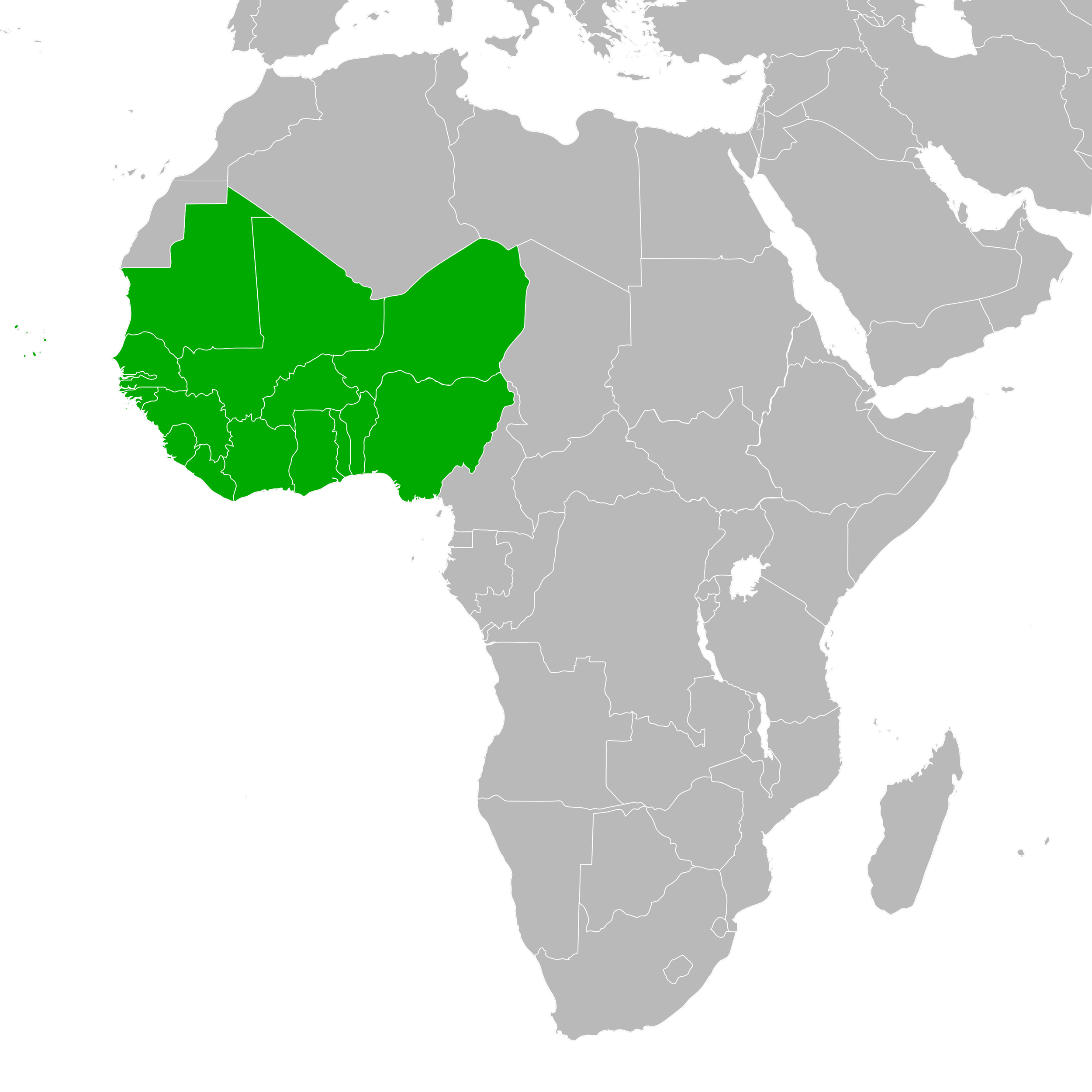 West Africa expands regional power links with 4,000km grid