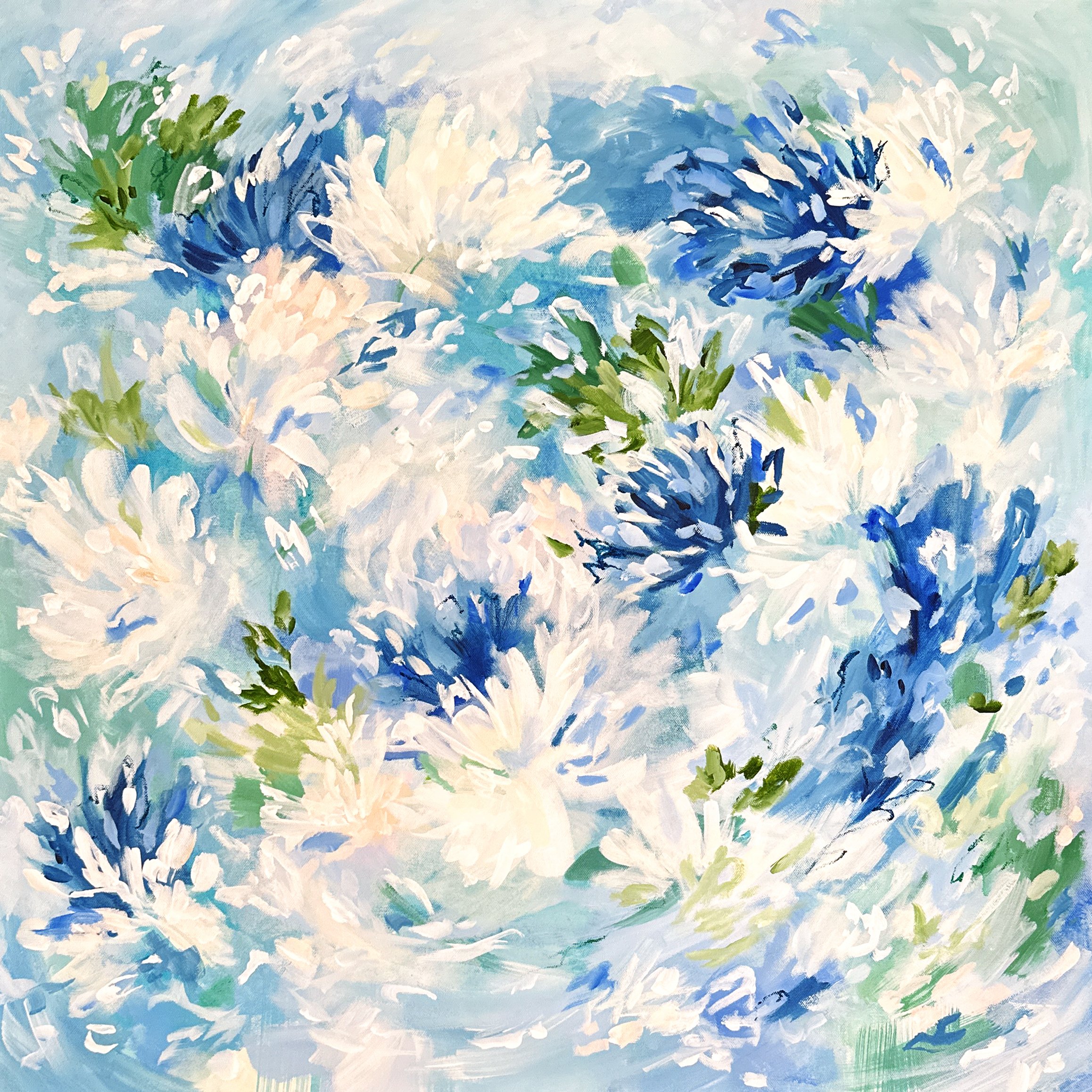 Chrysanthemum_Square2.jpg