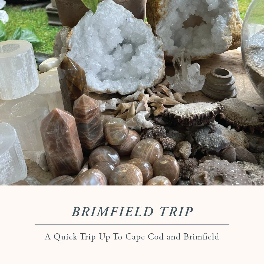 A QUICK TRIP TO CAPE COD AND BRIMFIELD