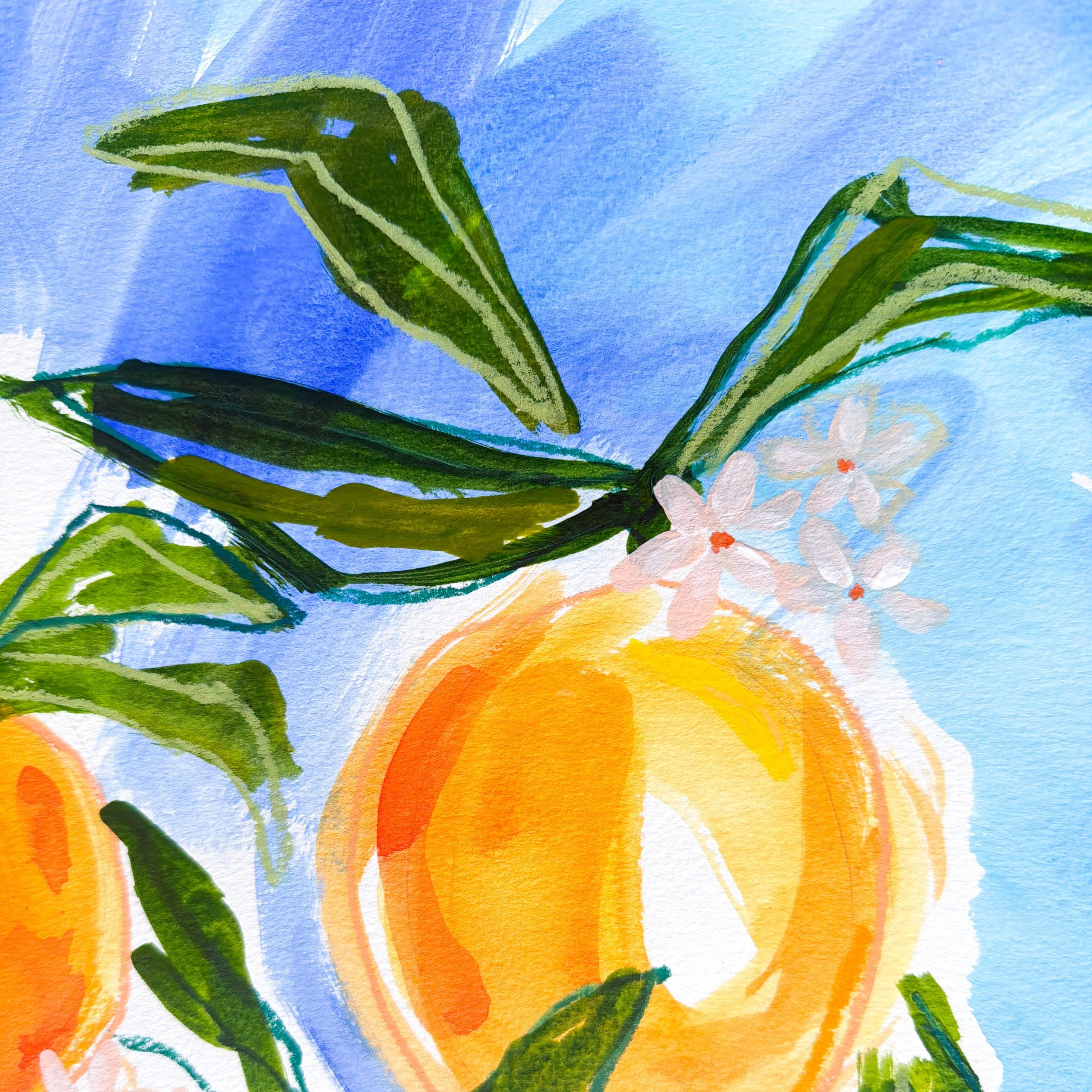 AranciataPicnic_detail.jpg
