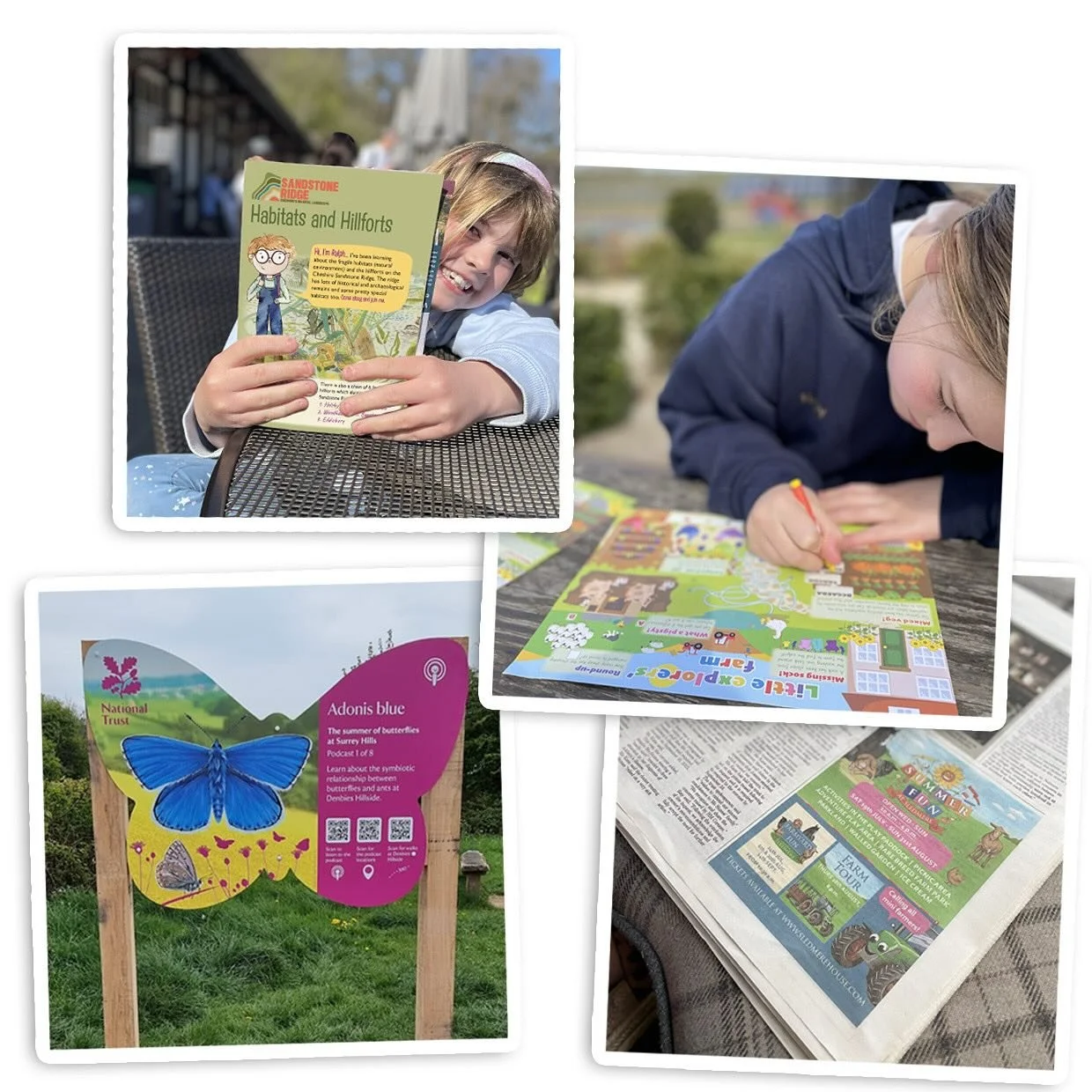 We have loved seeing your visitors enjoy our resources over the summer holidays ☀️

We work closely with our clients to understand their story and create resources that engage families, it could be through activity trails, interpretation boards, acti