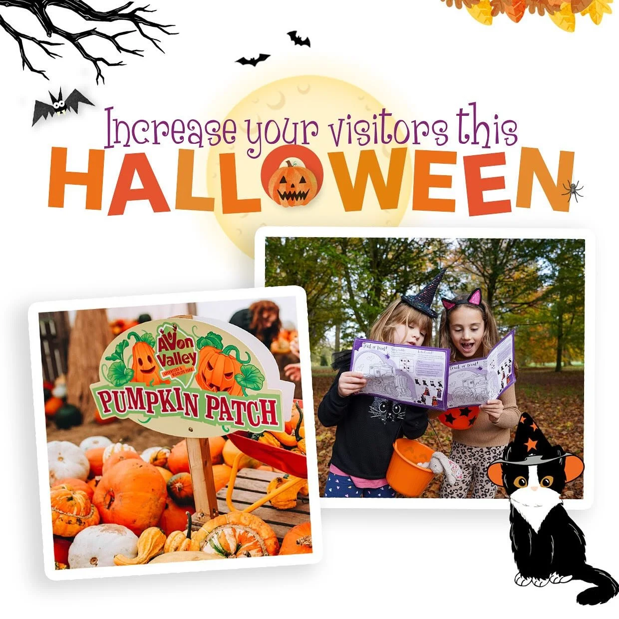 Our Halloween blog explores how to increase visitors to your site. 🎃 

Halloween captivates people of all ages and is the perfect excuse to add more fun to your business at this time of year, read our latest blog for more information on the marketin