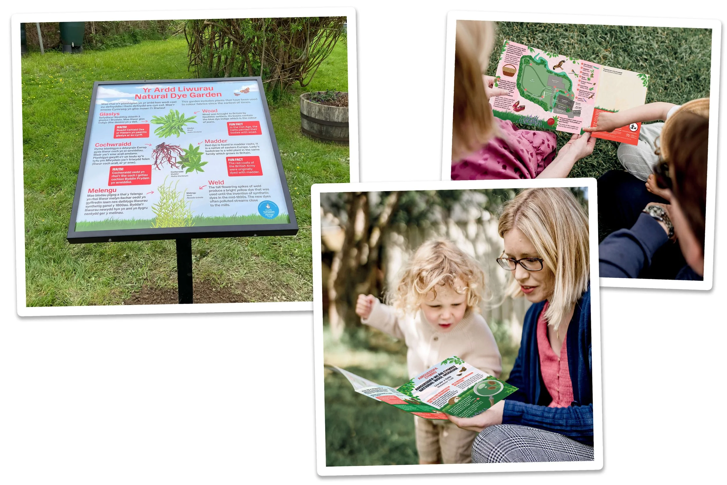 Bright trails, bigger visits! Bringing stories to life at the National Wool Museum