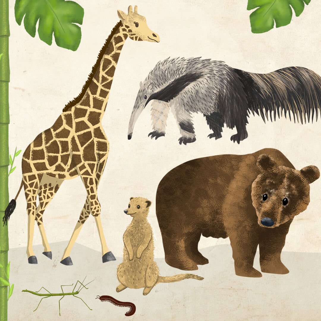 ZOO &amp; WILDLIFE