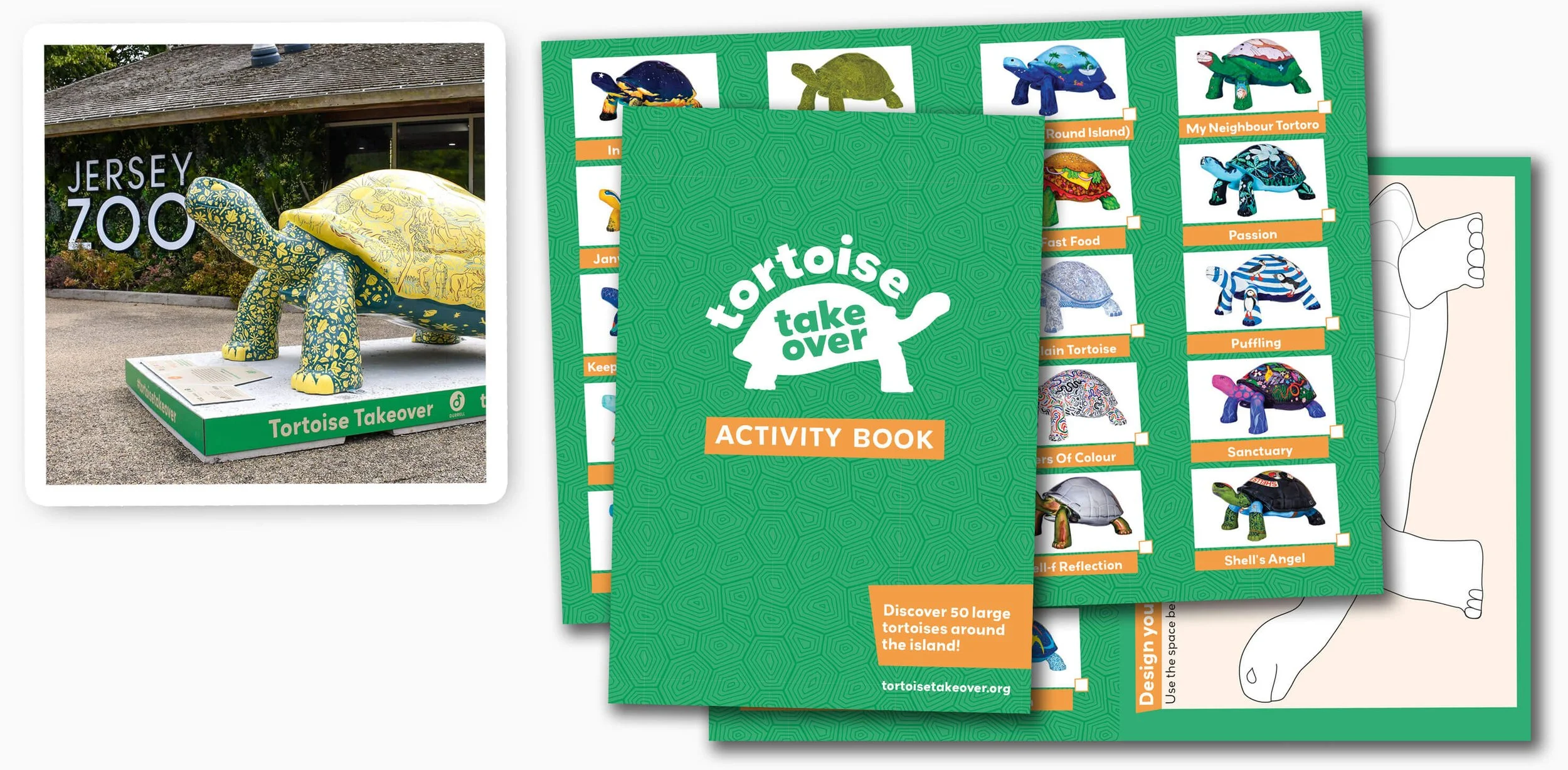 Tortoise Take over at Jersey Zoo — Colour Heroes