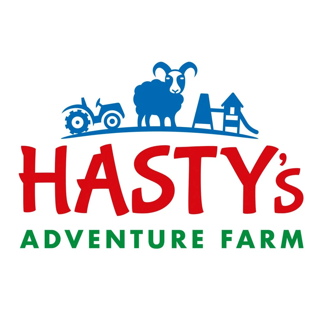 Logo design — Colour Heroes