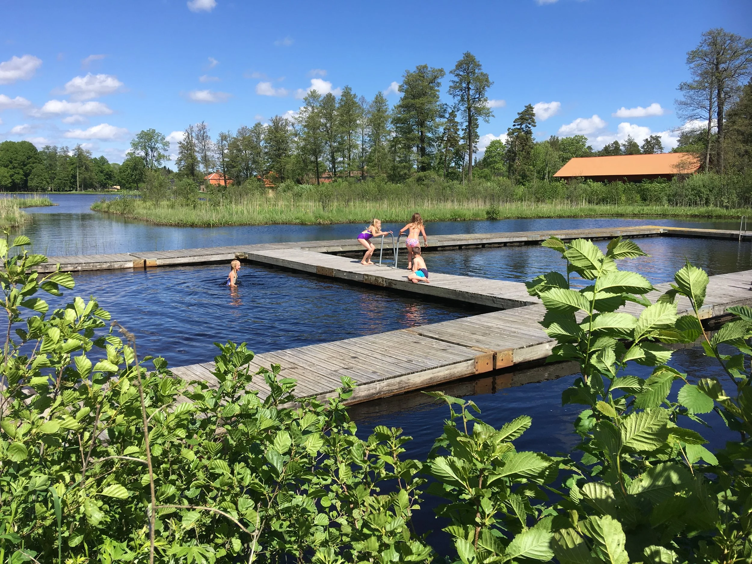 2017-06-11 12.49.23.jpg