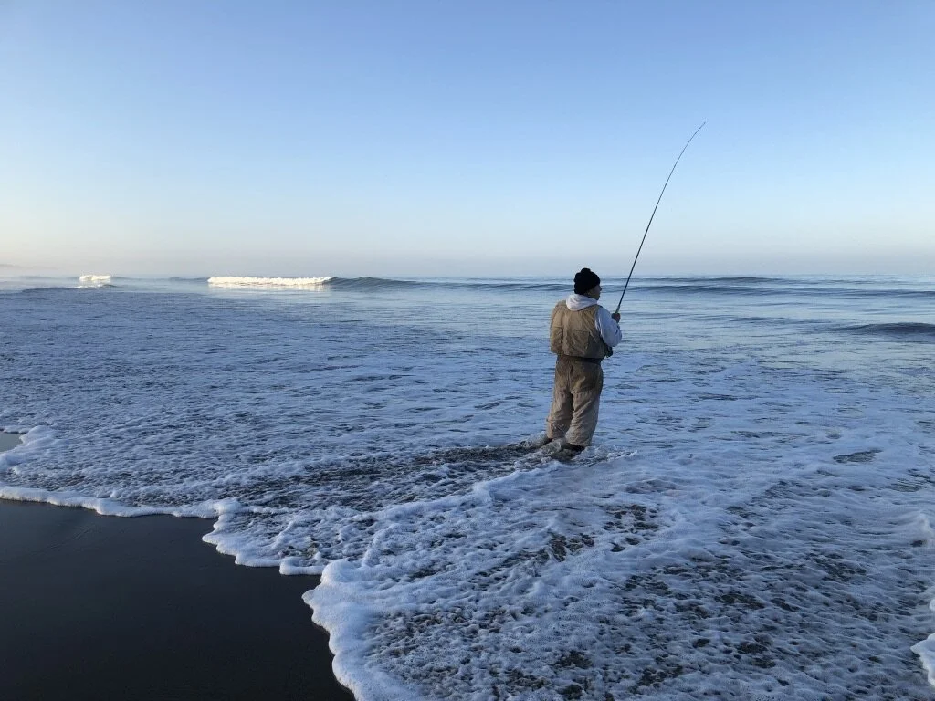 9B0514DF-3E58-4415-920E-032295813788_1_105_c.jpeg