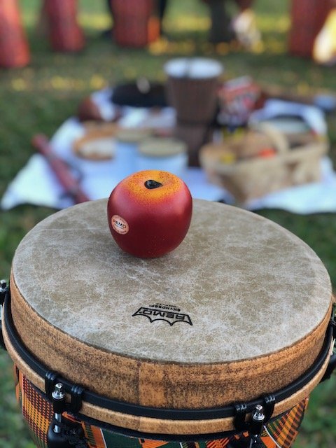 Imagine Schools Drum Circle