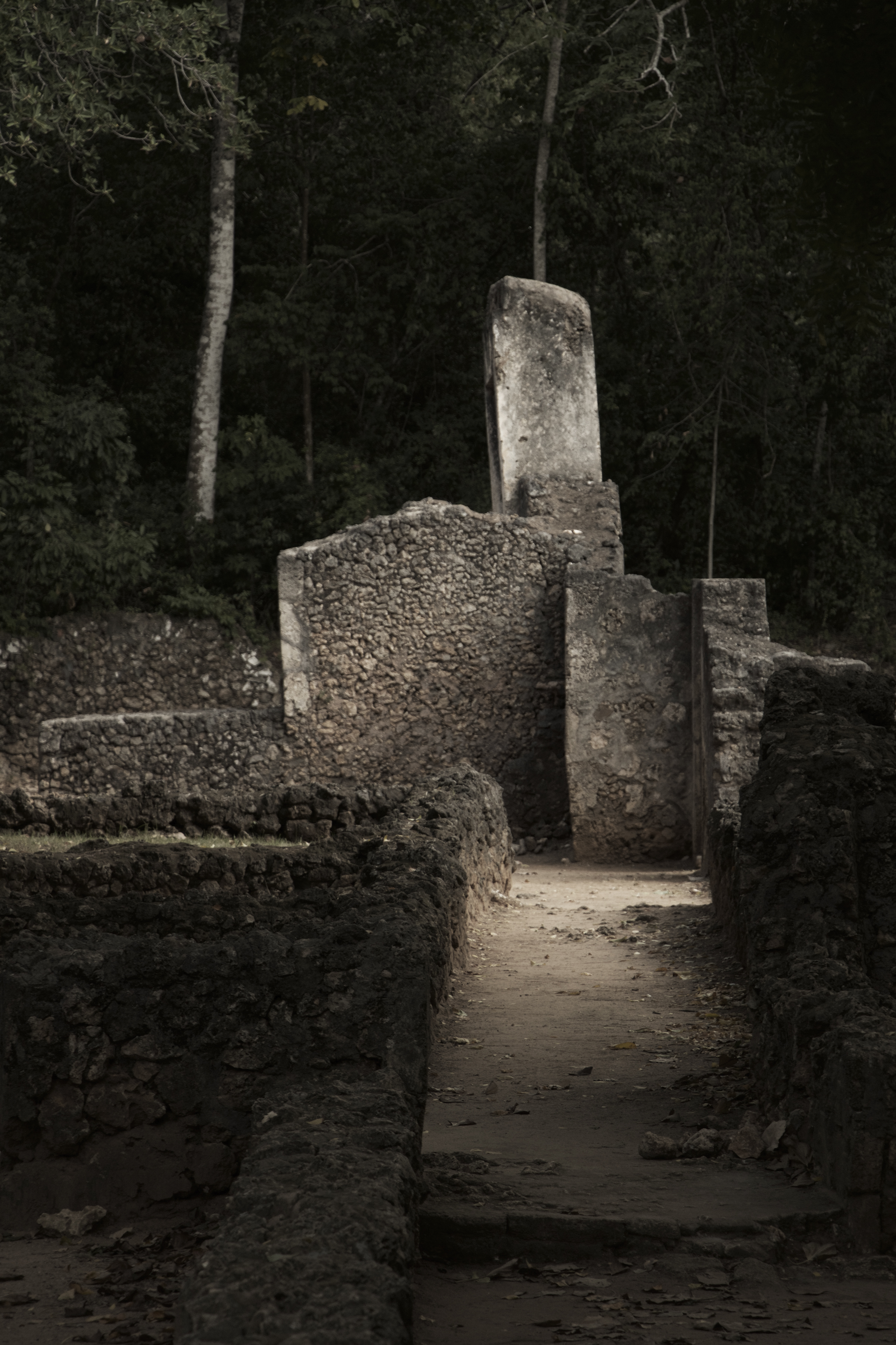   Studying Gede in Ruin … “in the deep Arabuko Sokoke forest by the Indian ocean coast, was a lost civilization, thirteen century architecture, now mostly ghost. A palace doorway, mosques and tombs many readings we have yet to exhume, ” …  