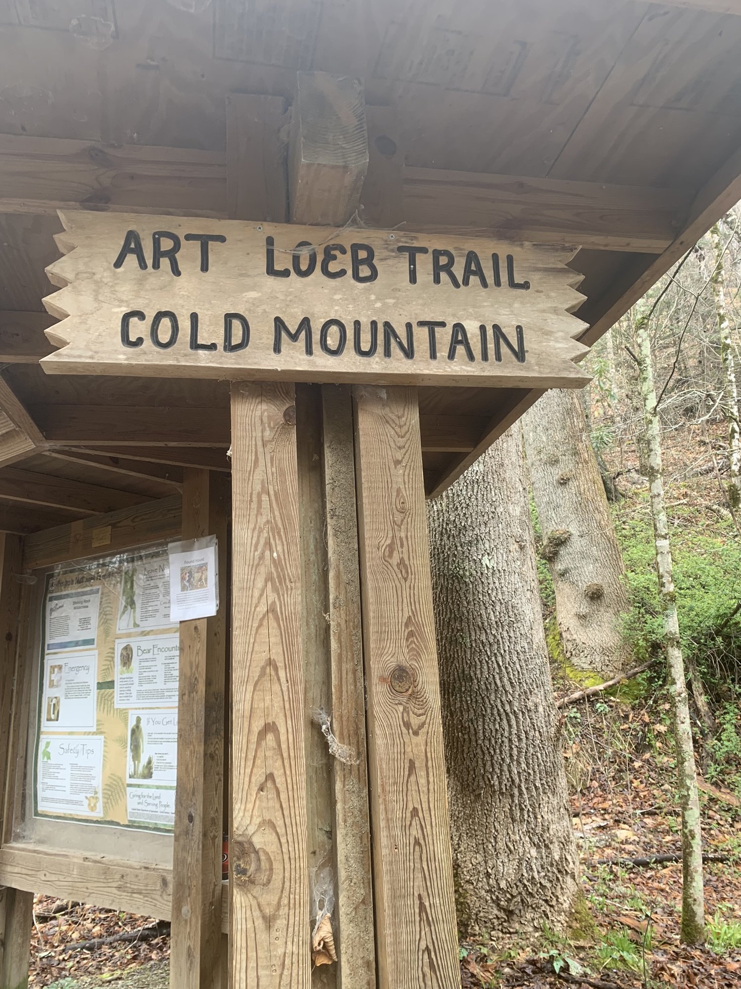 The Daniel Boone terminus of the Art Loeb Trail