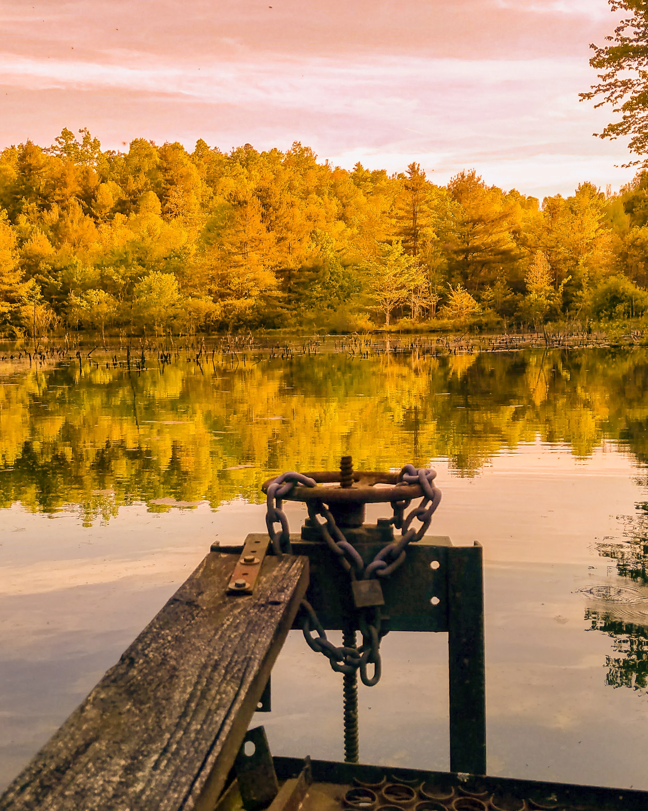 "Floating Joy": Childhood Hijinks and Shared Bonds