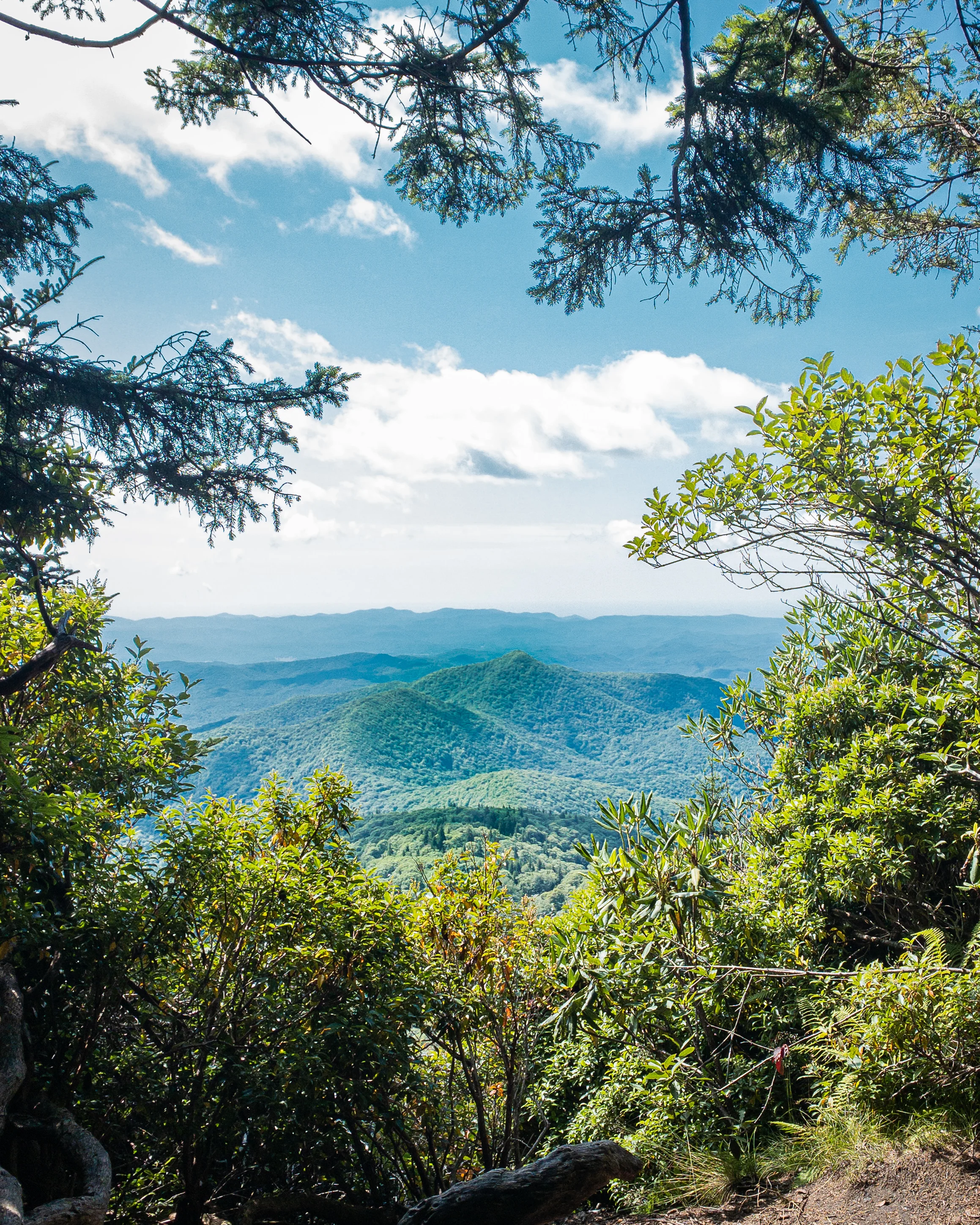 My Second Journey on the Art Loeb