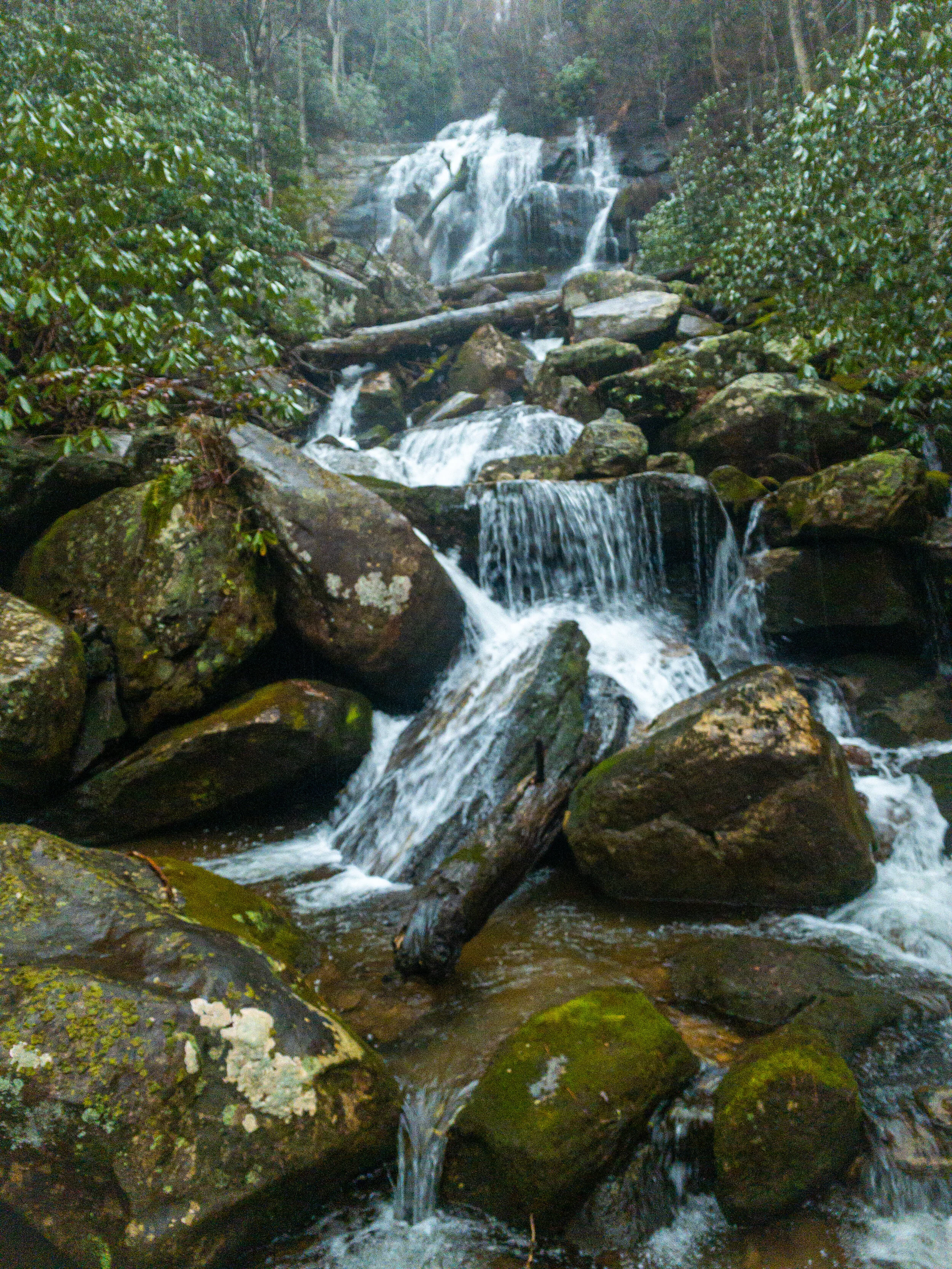 The Front Country VS The Back Country