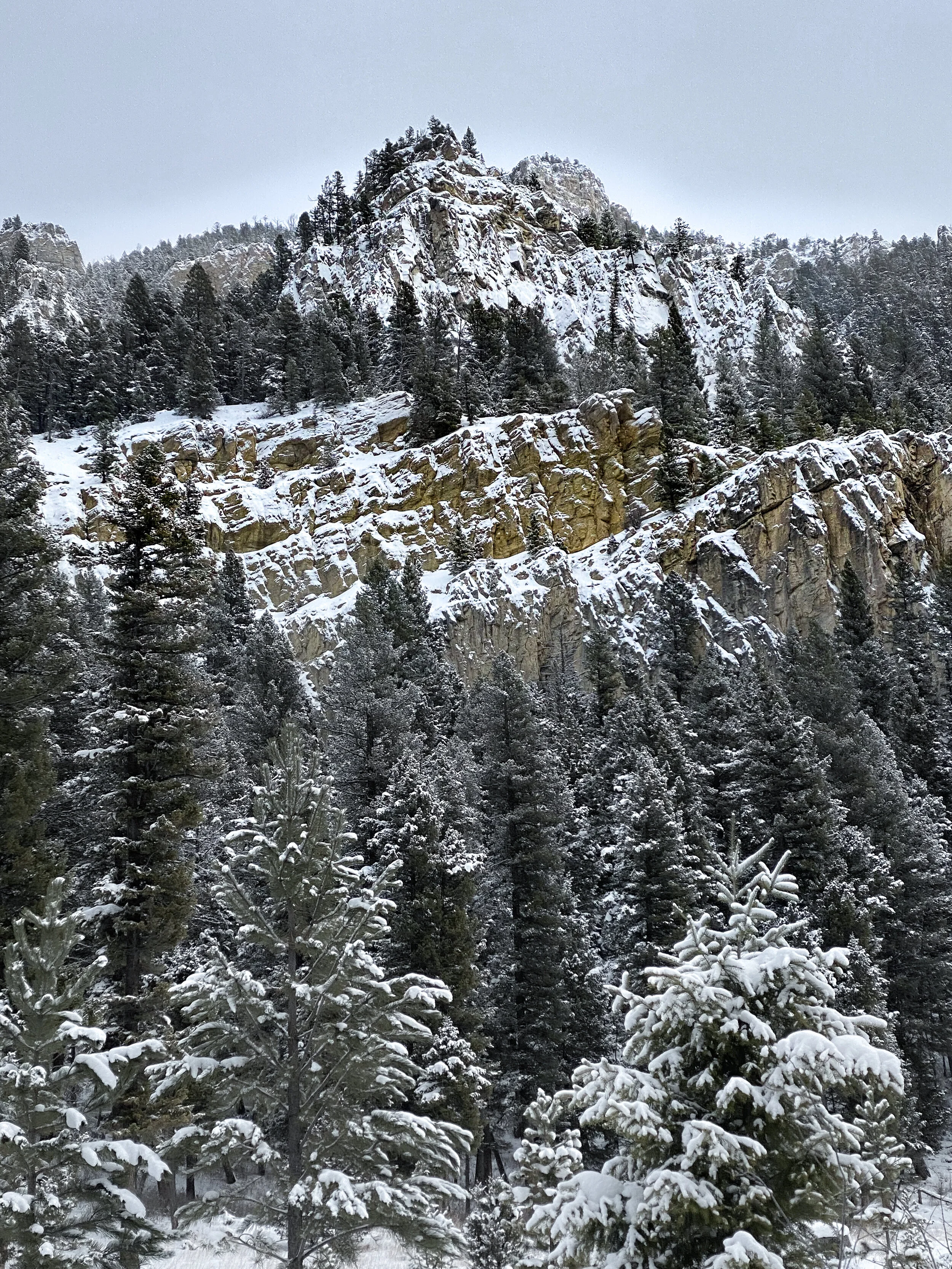 A Quiet Morning in the Gallatins