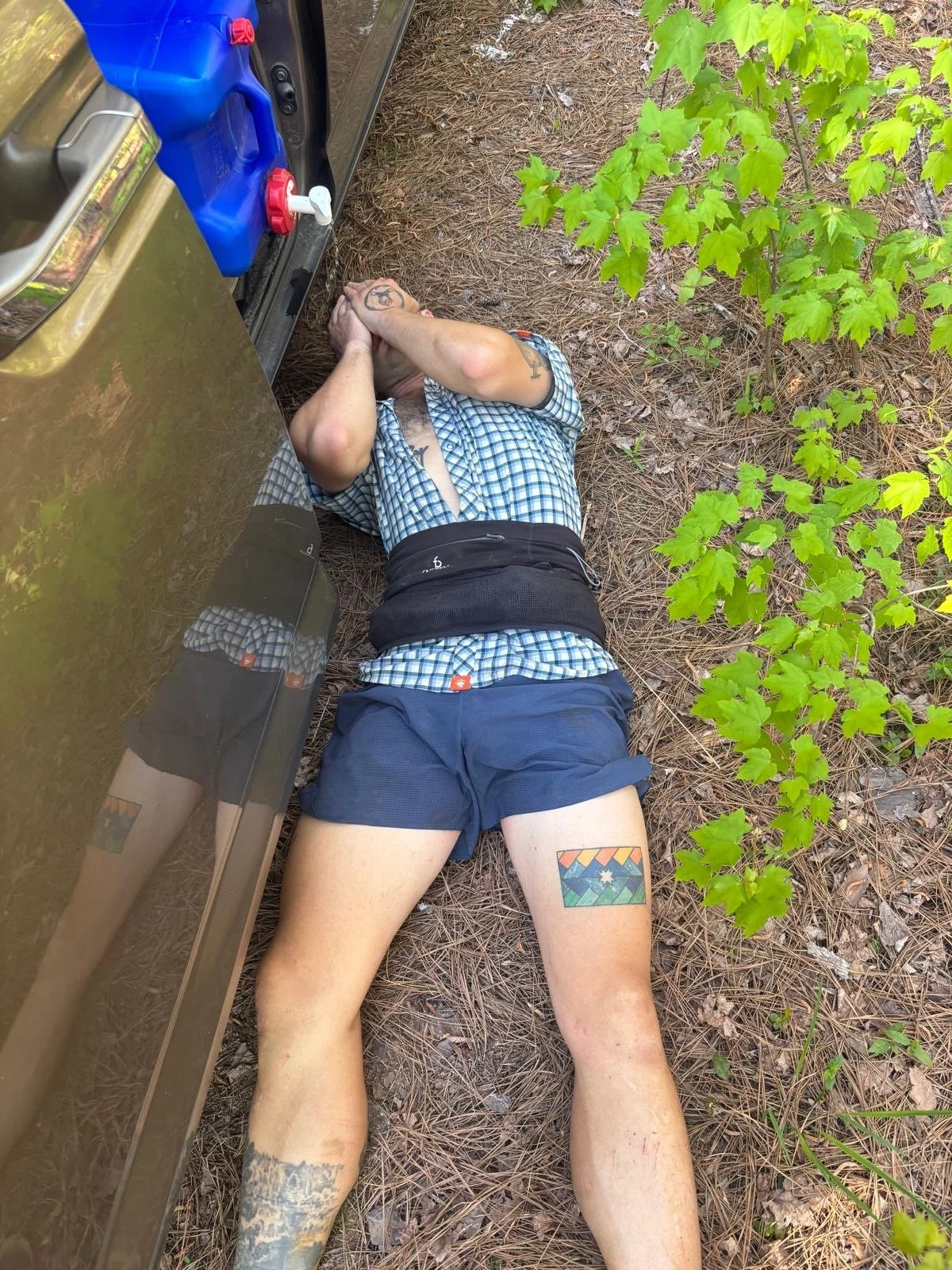 A Debrief on Palmetto