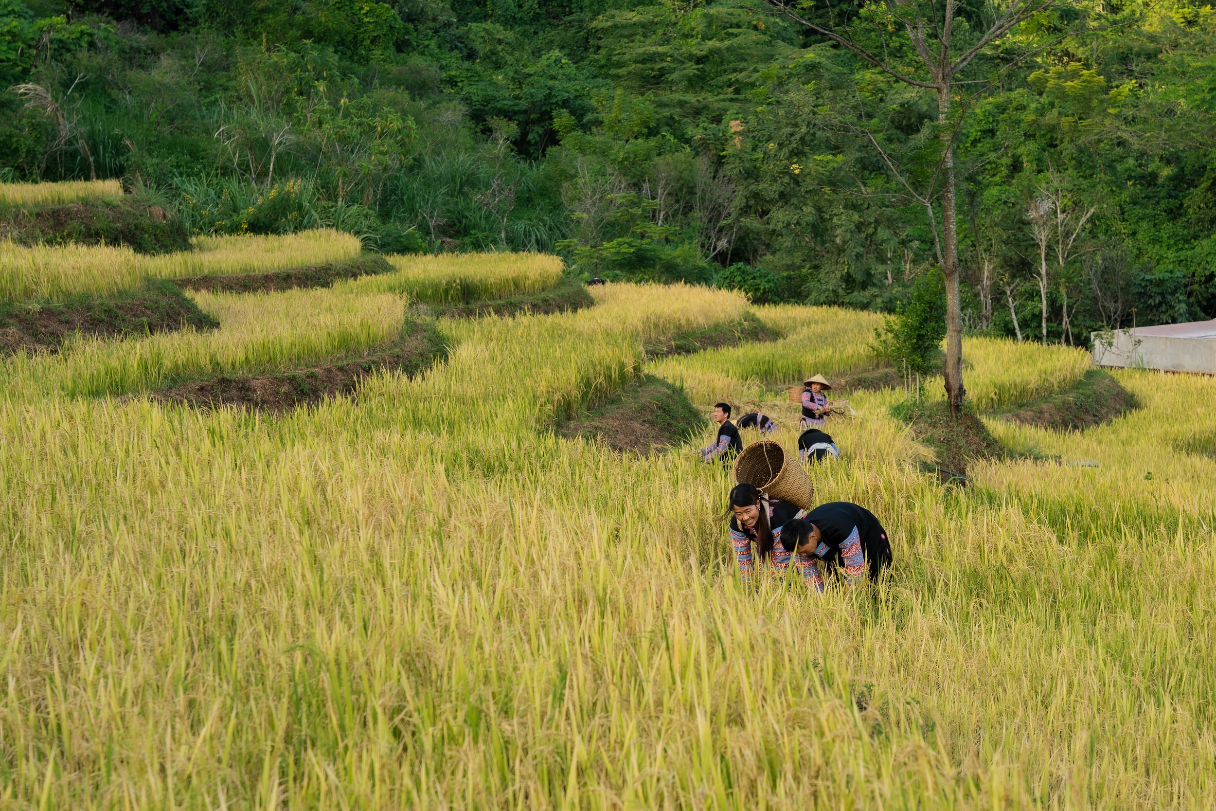Planning your trip to Mai Chau