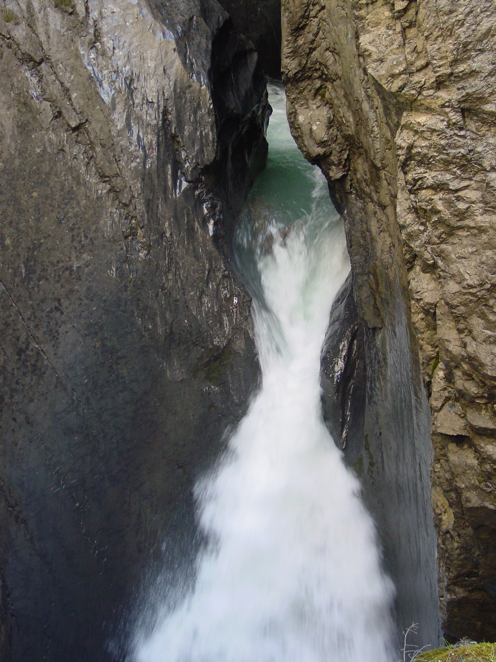 DSC00351.JPG
