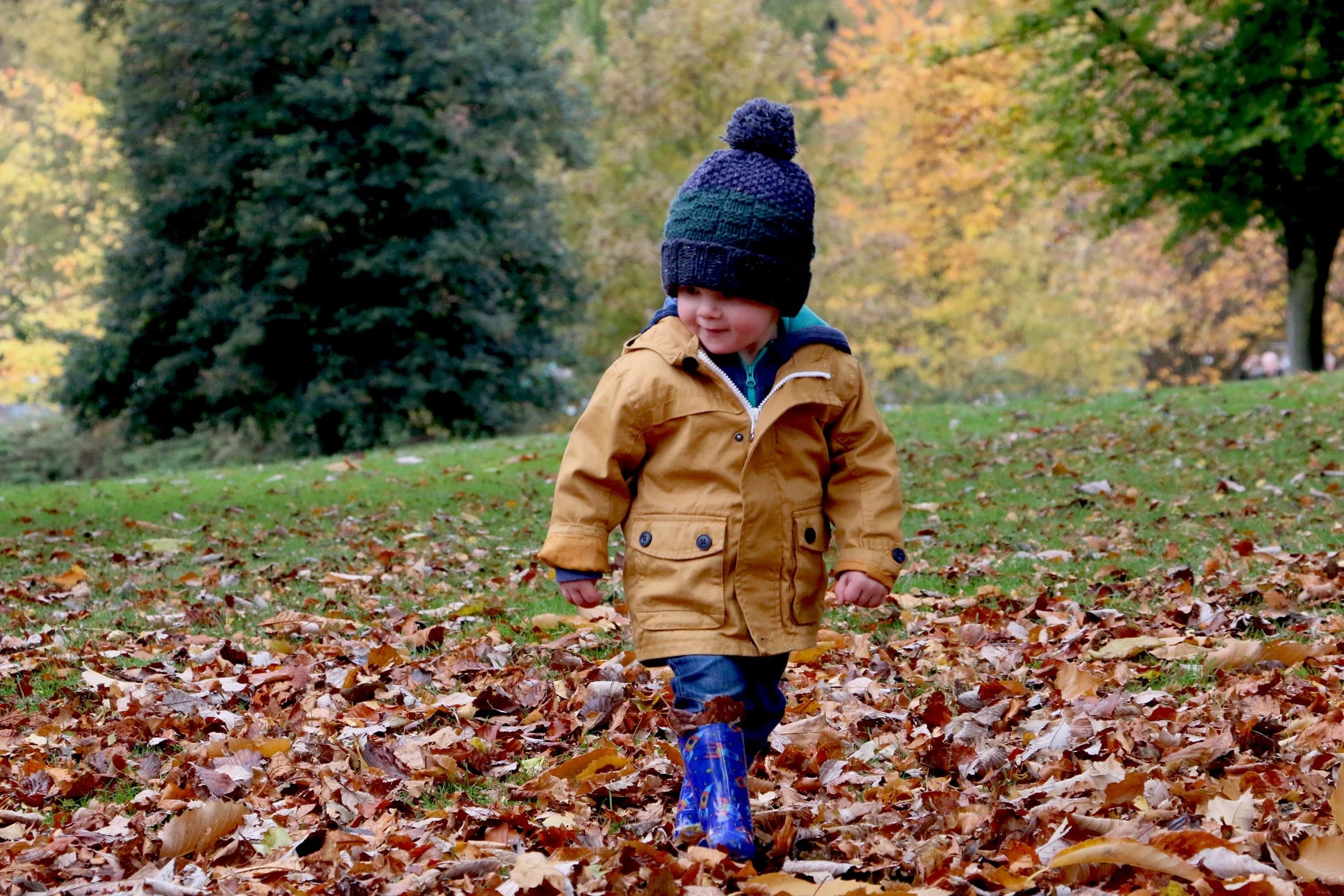Developmental Milestones for Dressing