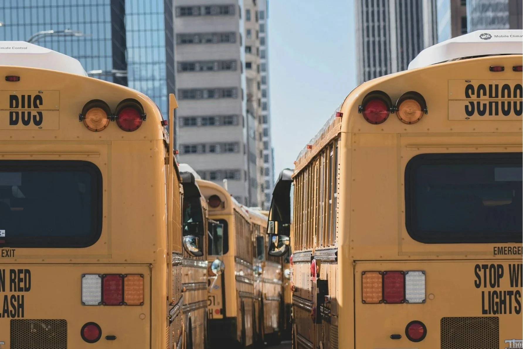 School buses on road