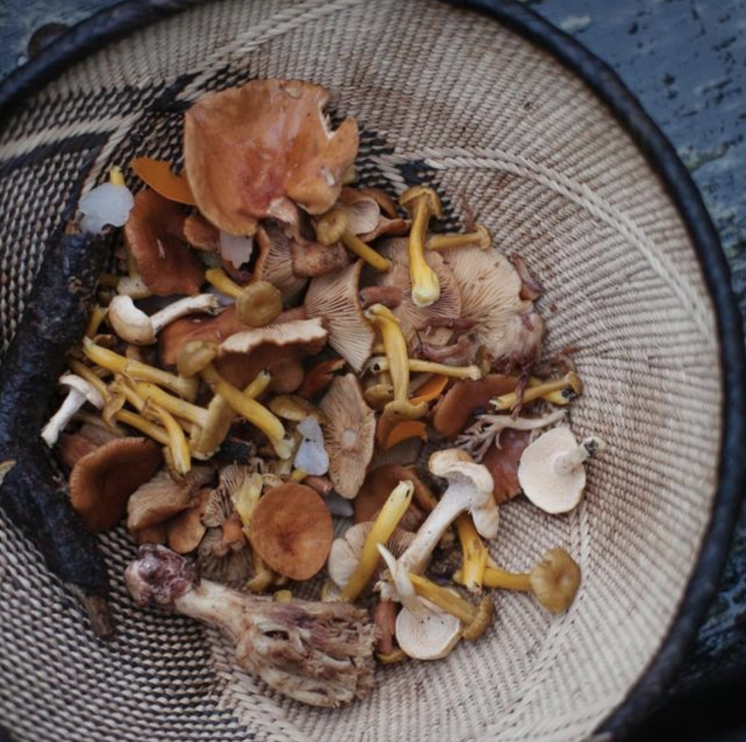 Screen Shot 2019-11-05 at 1.19.47 PM.png