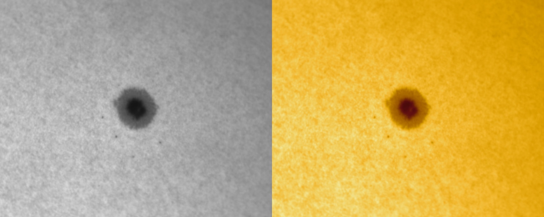 Before and after coloration