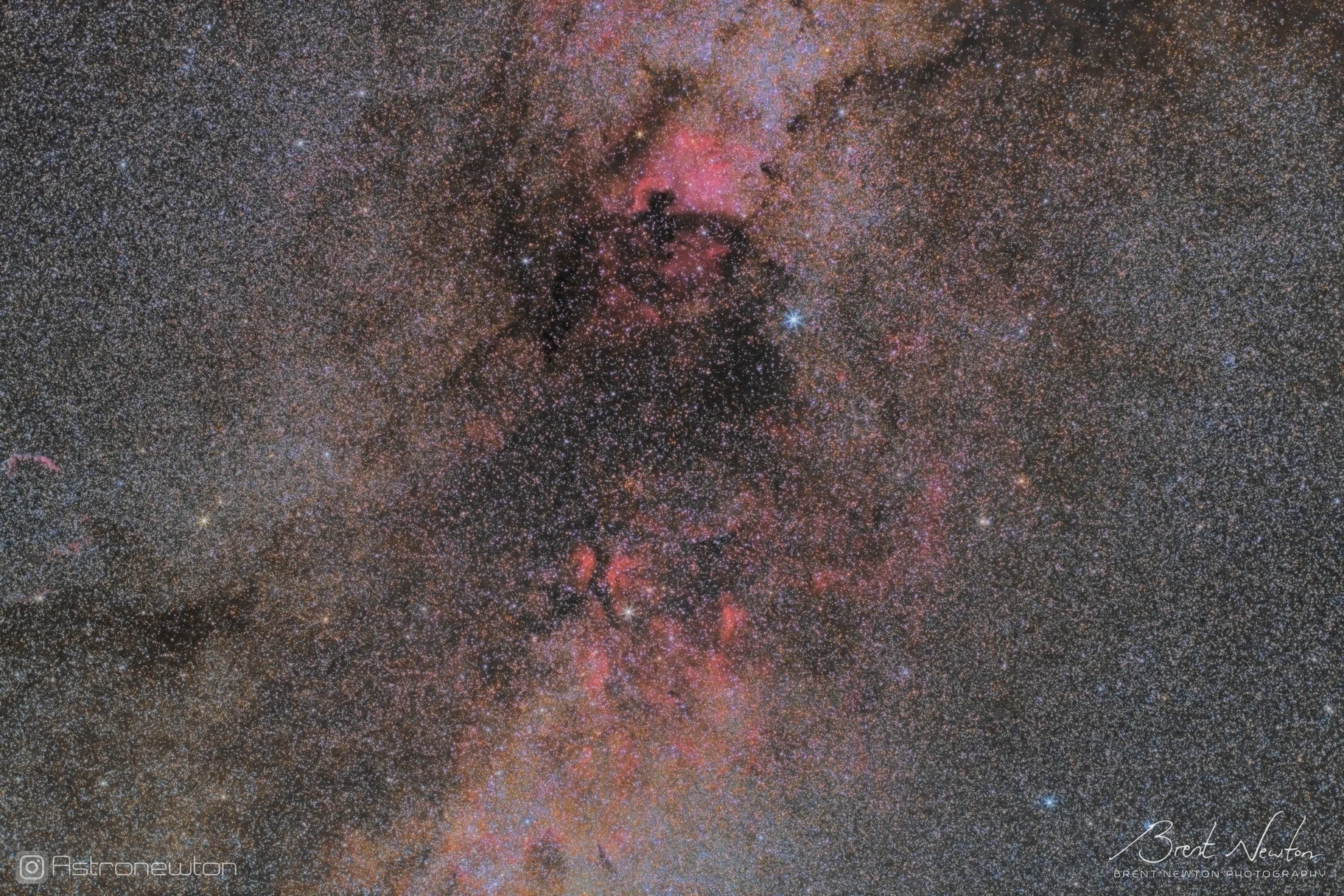 Cygnus midfield at 50mm, one hour total exposure from a Bortle 2 site