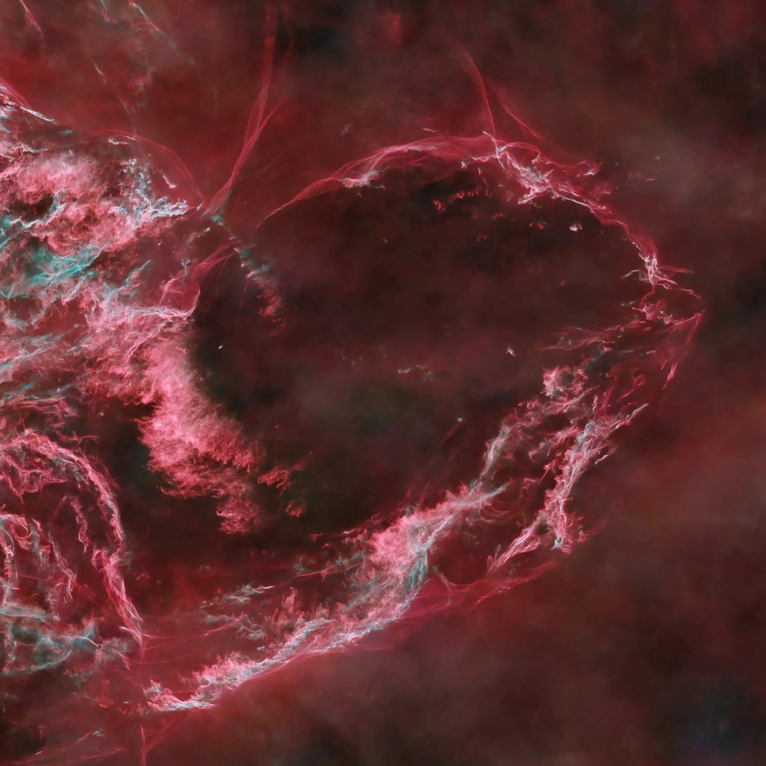 Southern Veil Section