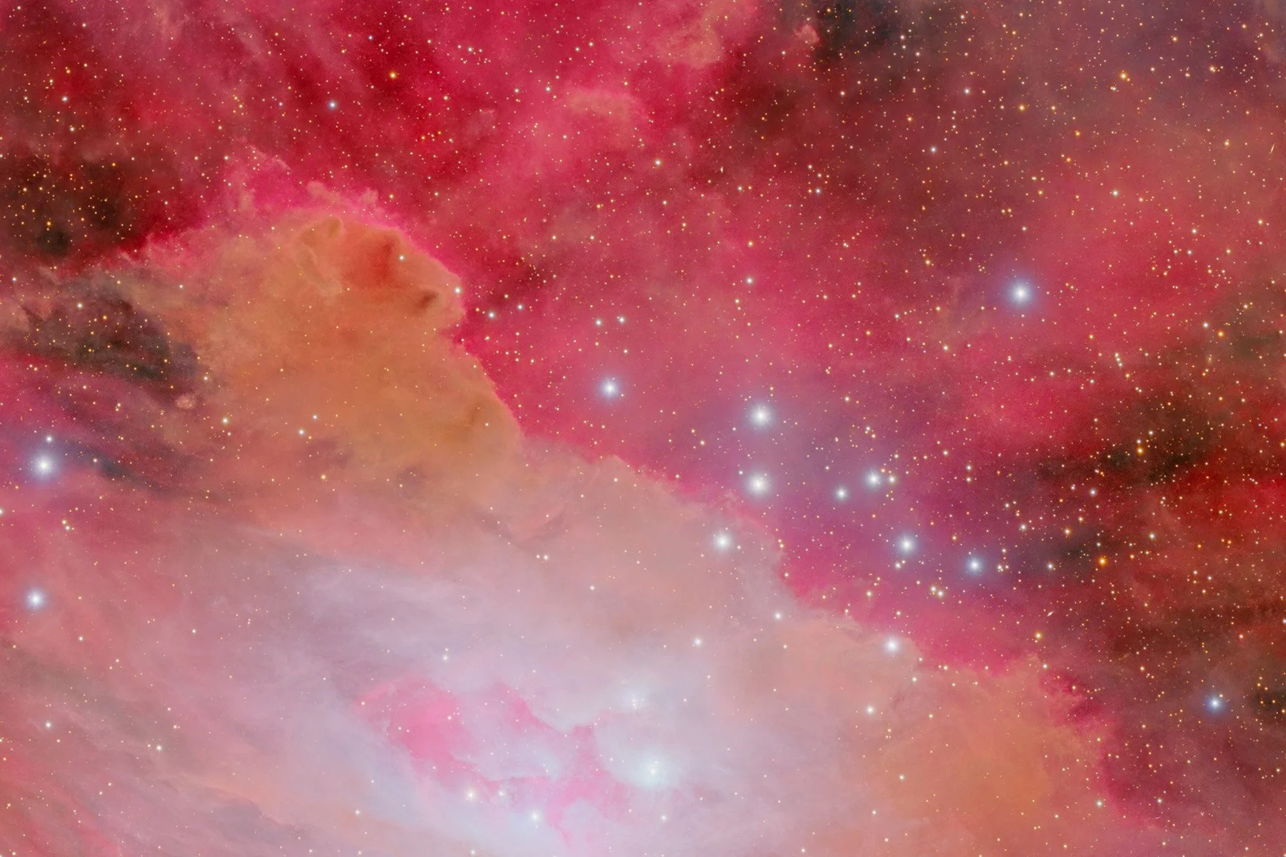 Closeup2.jpg