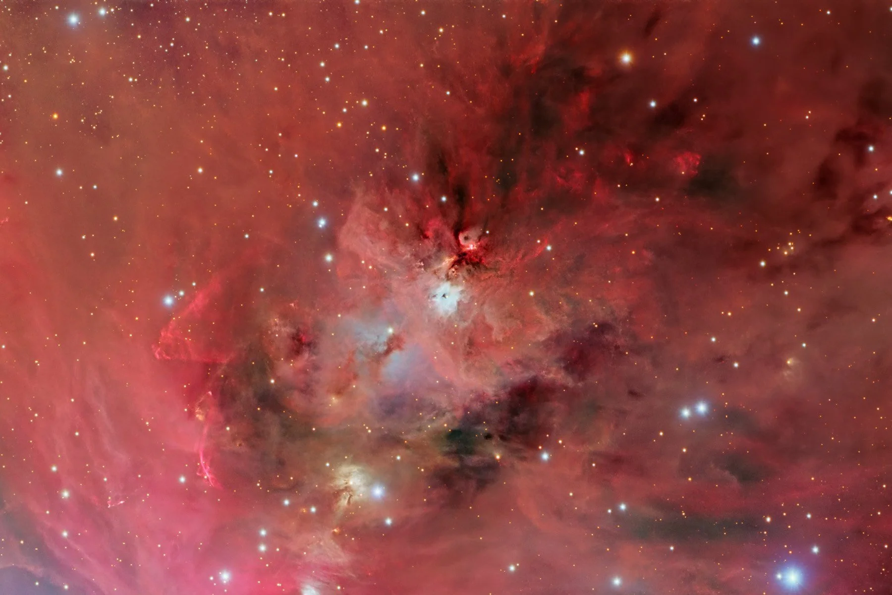 Closeup3.jpg