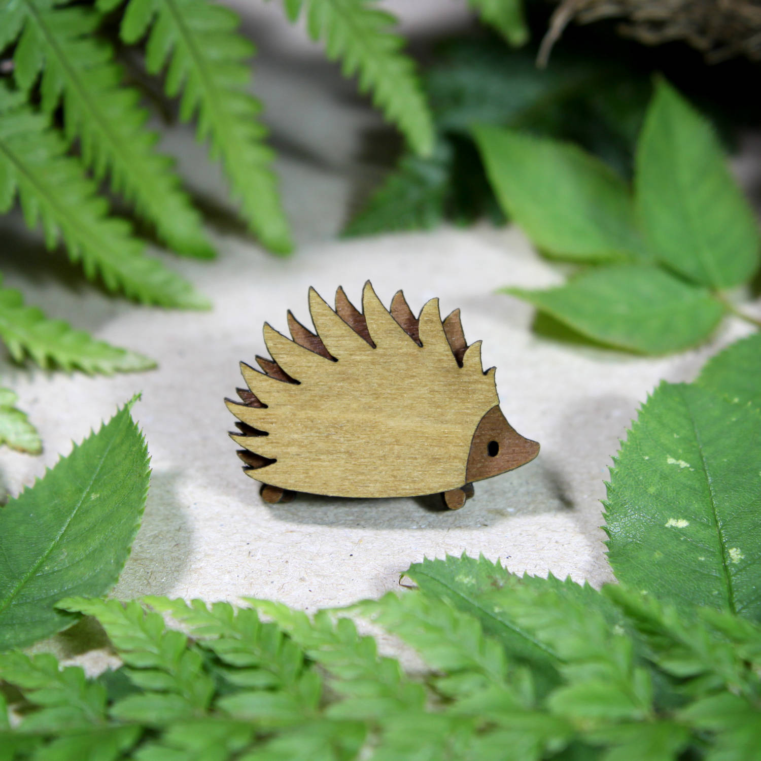 Hedgehog leaves.jpg