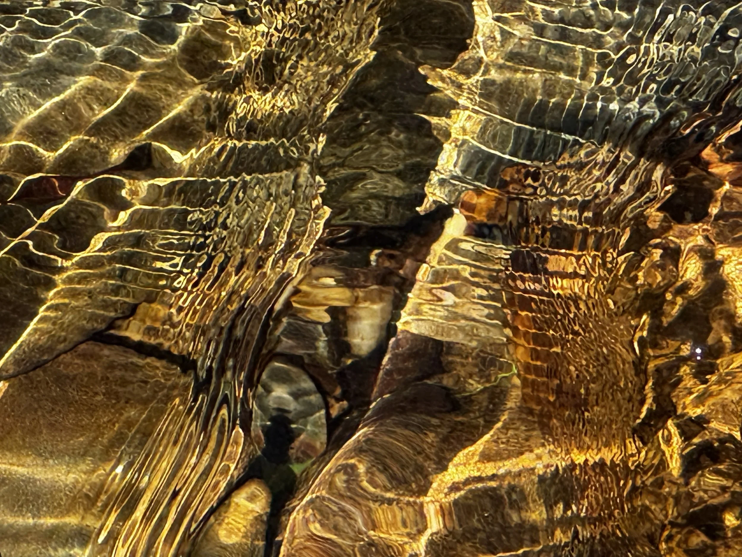 Pinhoti Trail Creek, AL - III