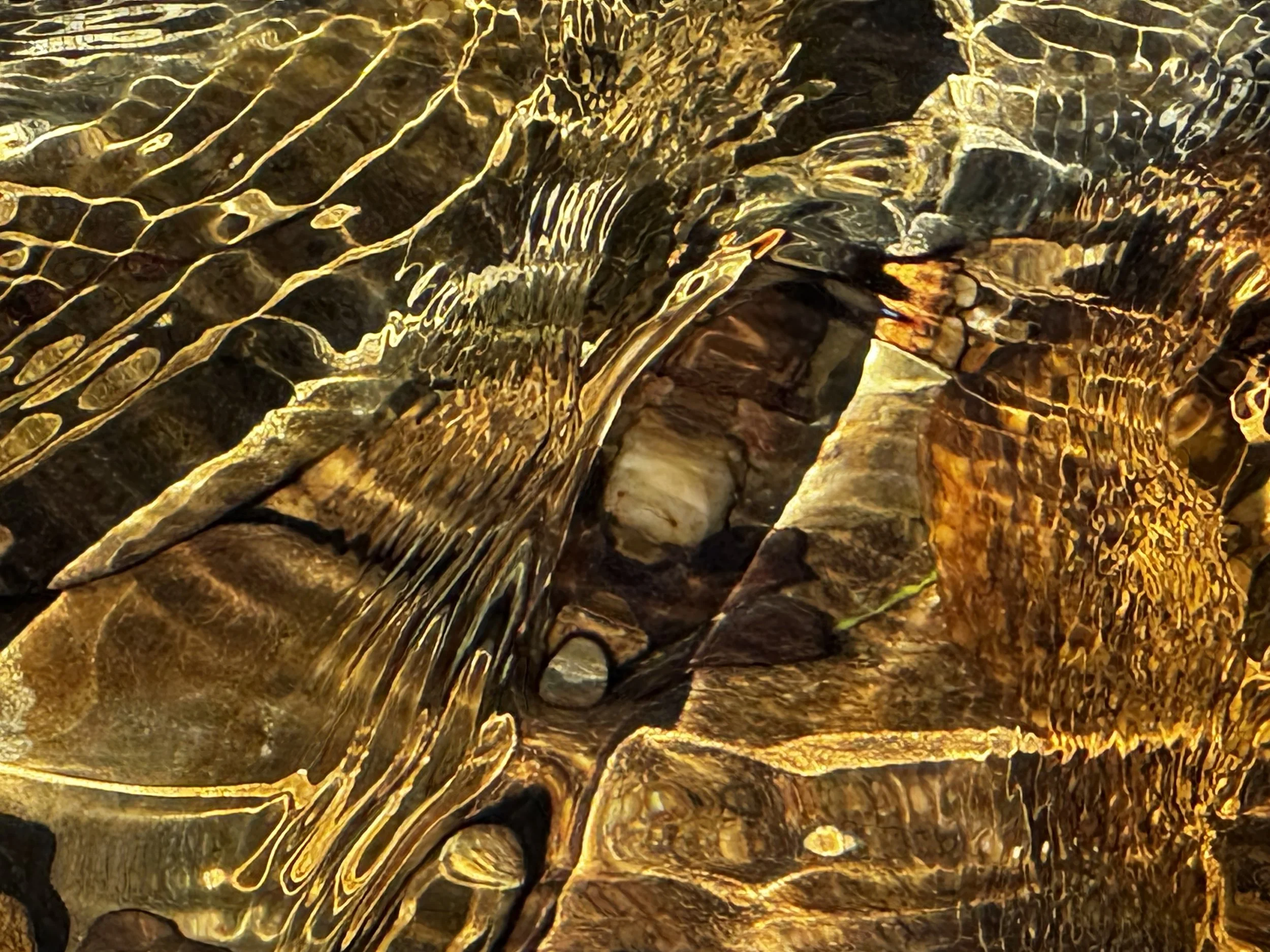 Pinhoti Trail Creek, AL - IV