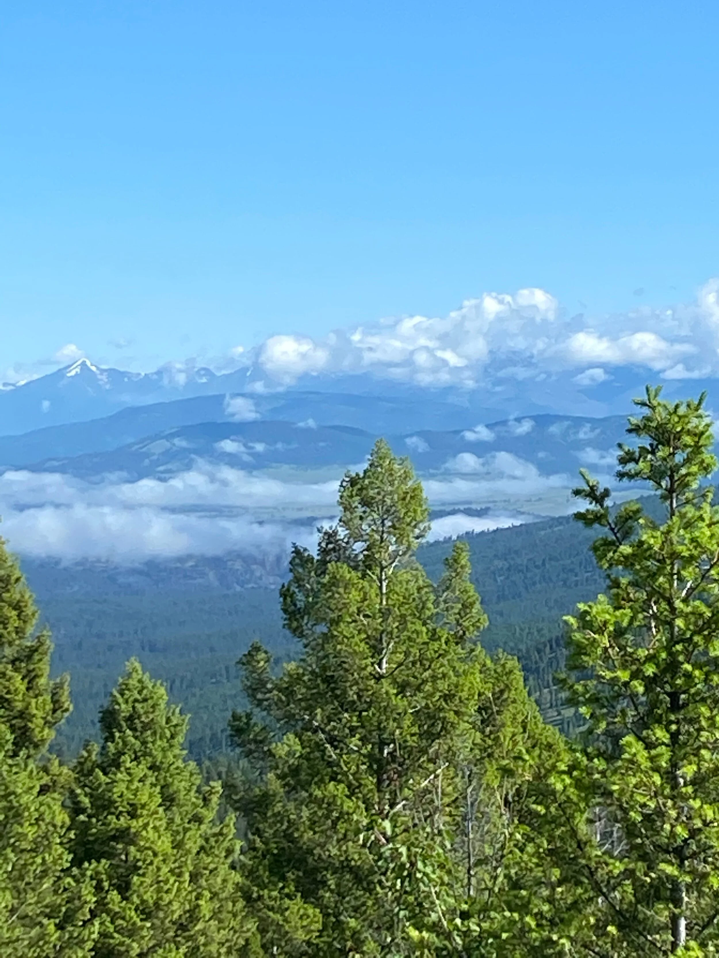 Montana peak jpeg.jpg