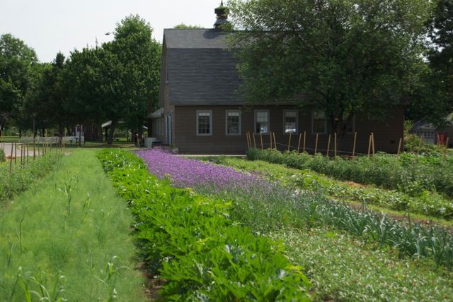 Credit Queens County Farm.jpg
