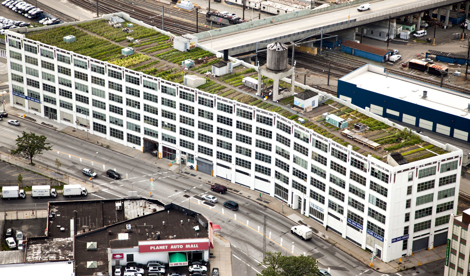 Credit Brooklyn Grange4.jpg