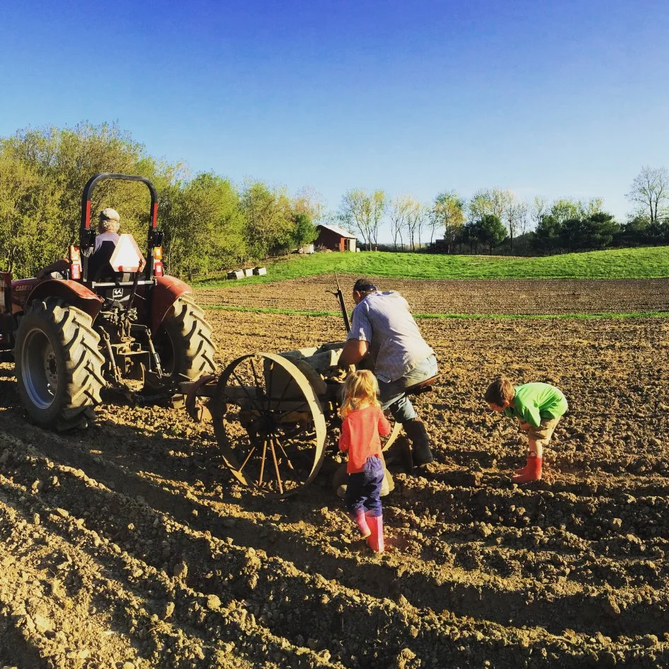 Photo by Stone’s Throw Farm