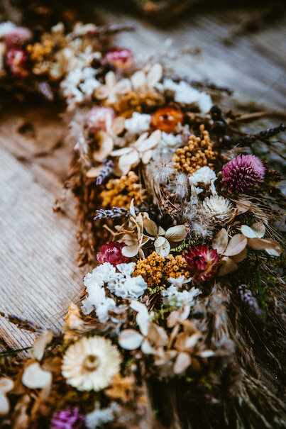Dried Flowers — Plenty Flowers