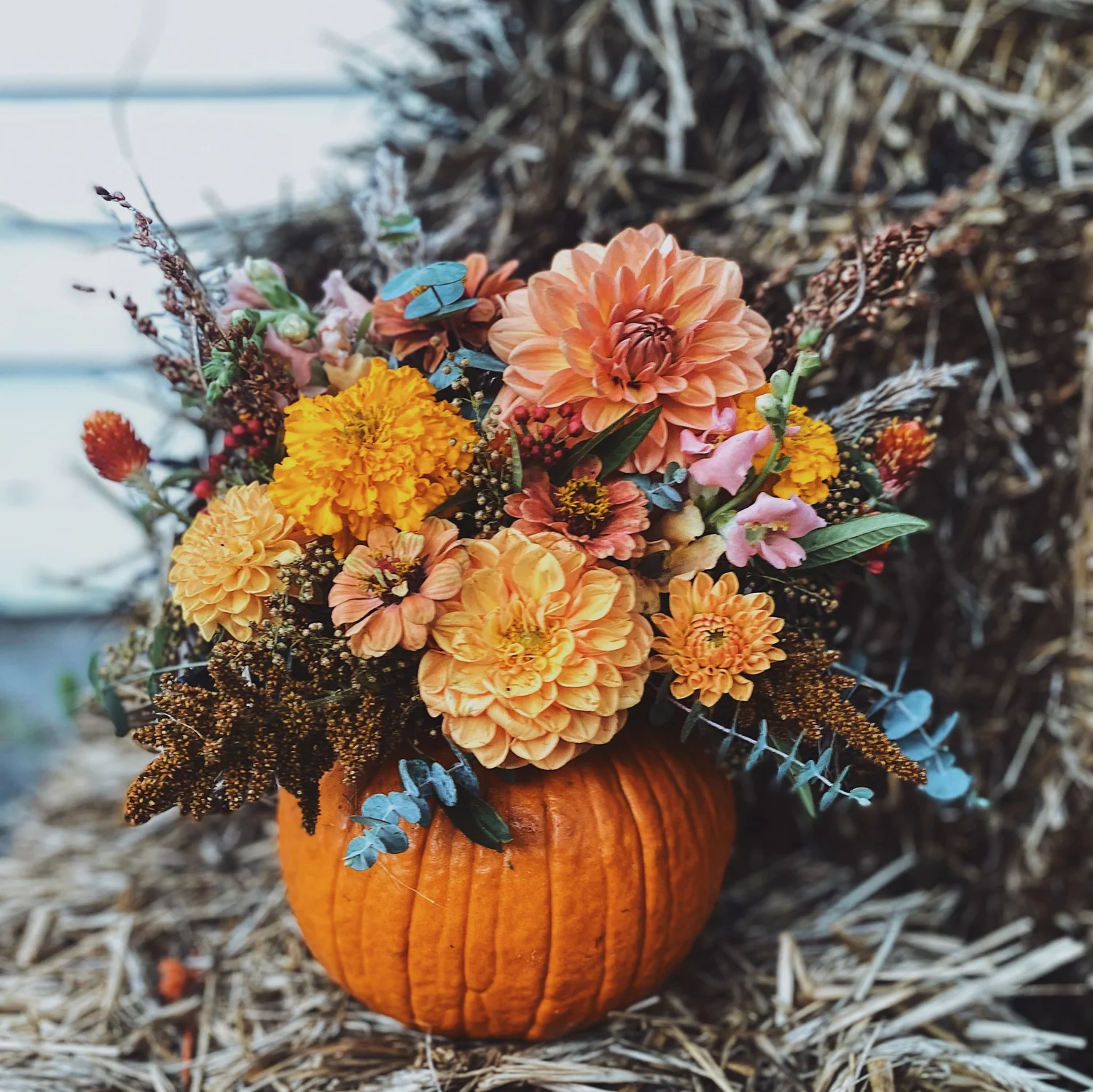 Fall Flowers Pumpkins Images Best Flower Site