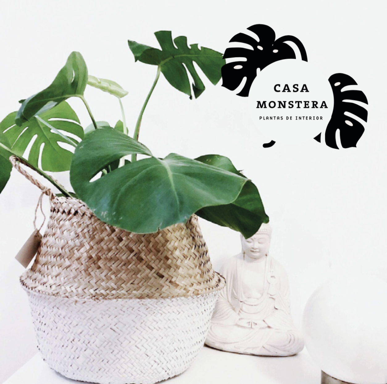   Logotipo  Propuestas anteriores. 