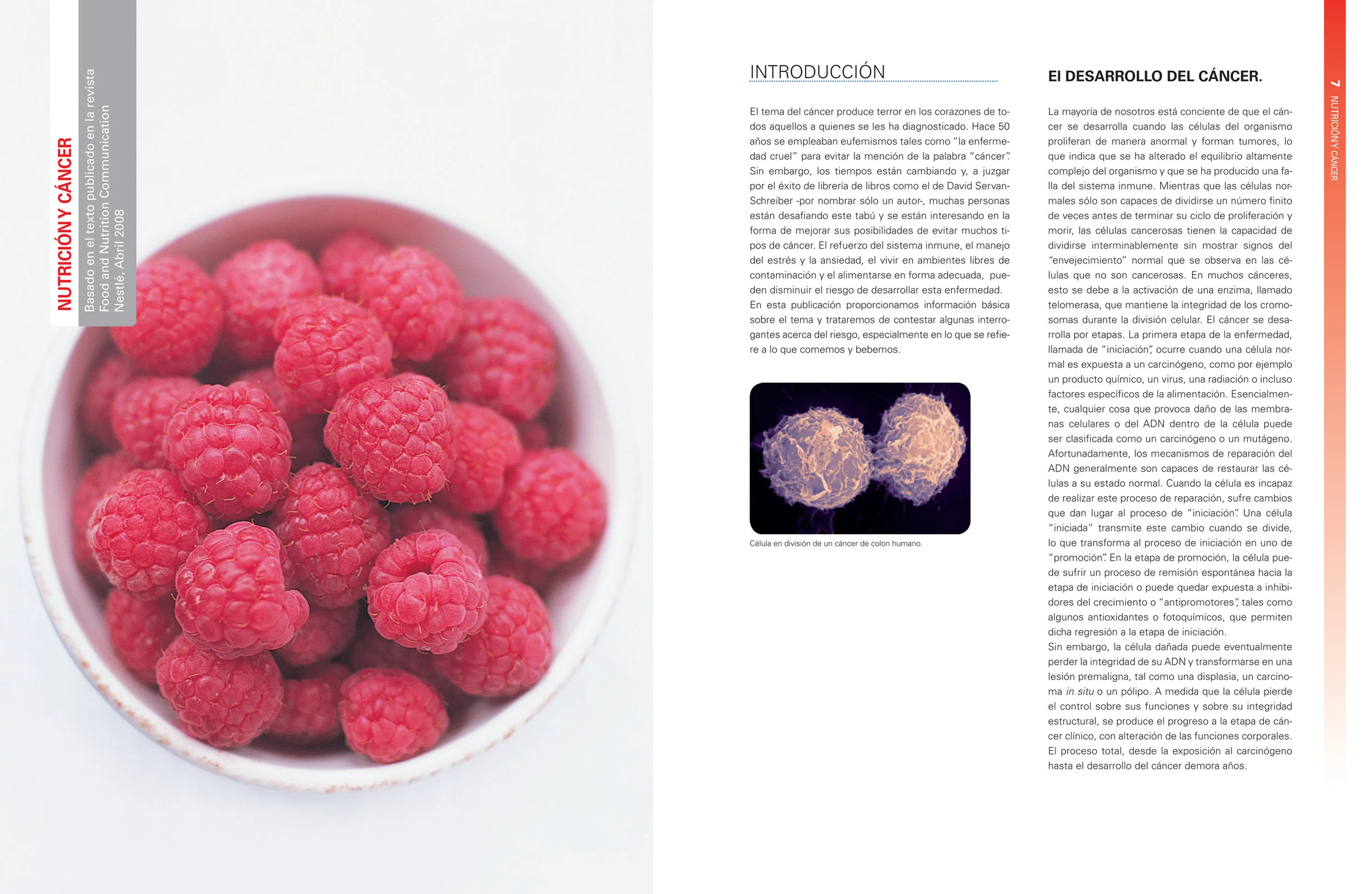  “Nutrition, Health And Wellness” Magazines. Layout and Information Design. 