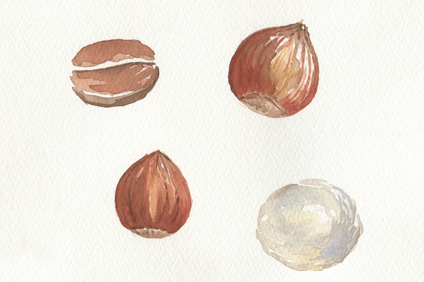  Ilustraciones por ©Catherine Thomann 