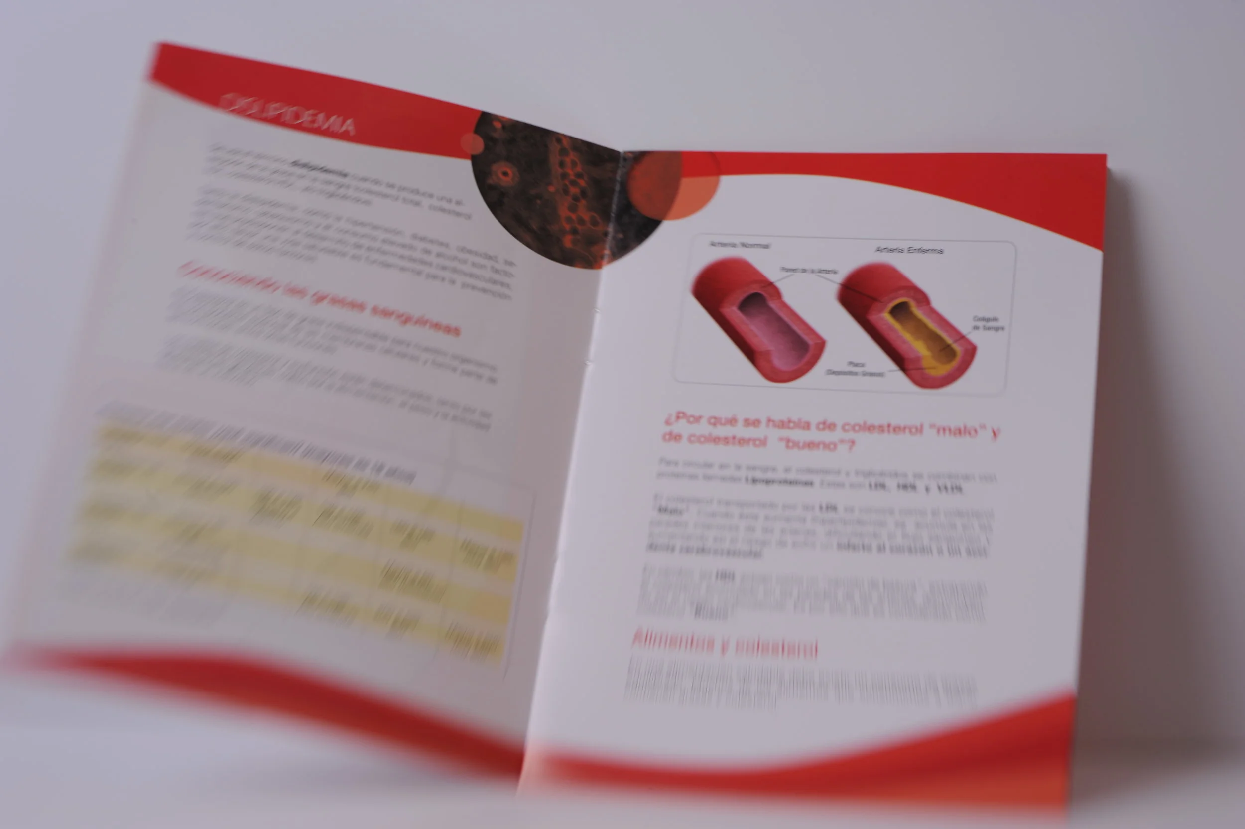  Nestle SA.  Díptico “Colesterol”.  