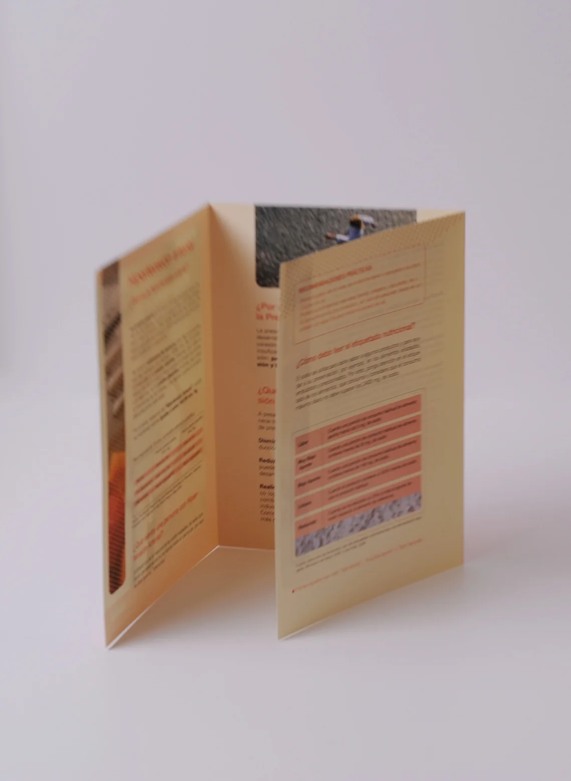  Nestle SA.  Díptico “Hipertensión arterial”.  